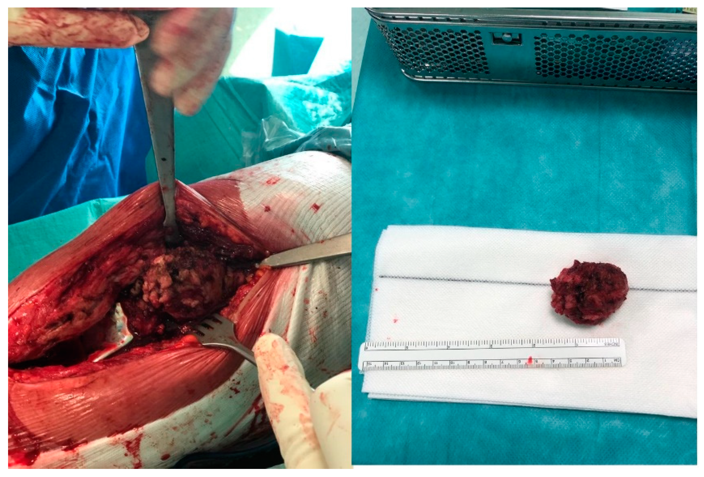 Osteology 02 00019 g002