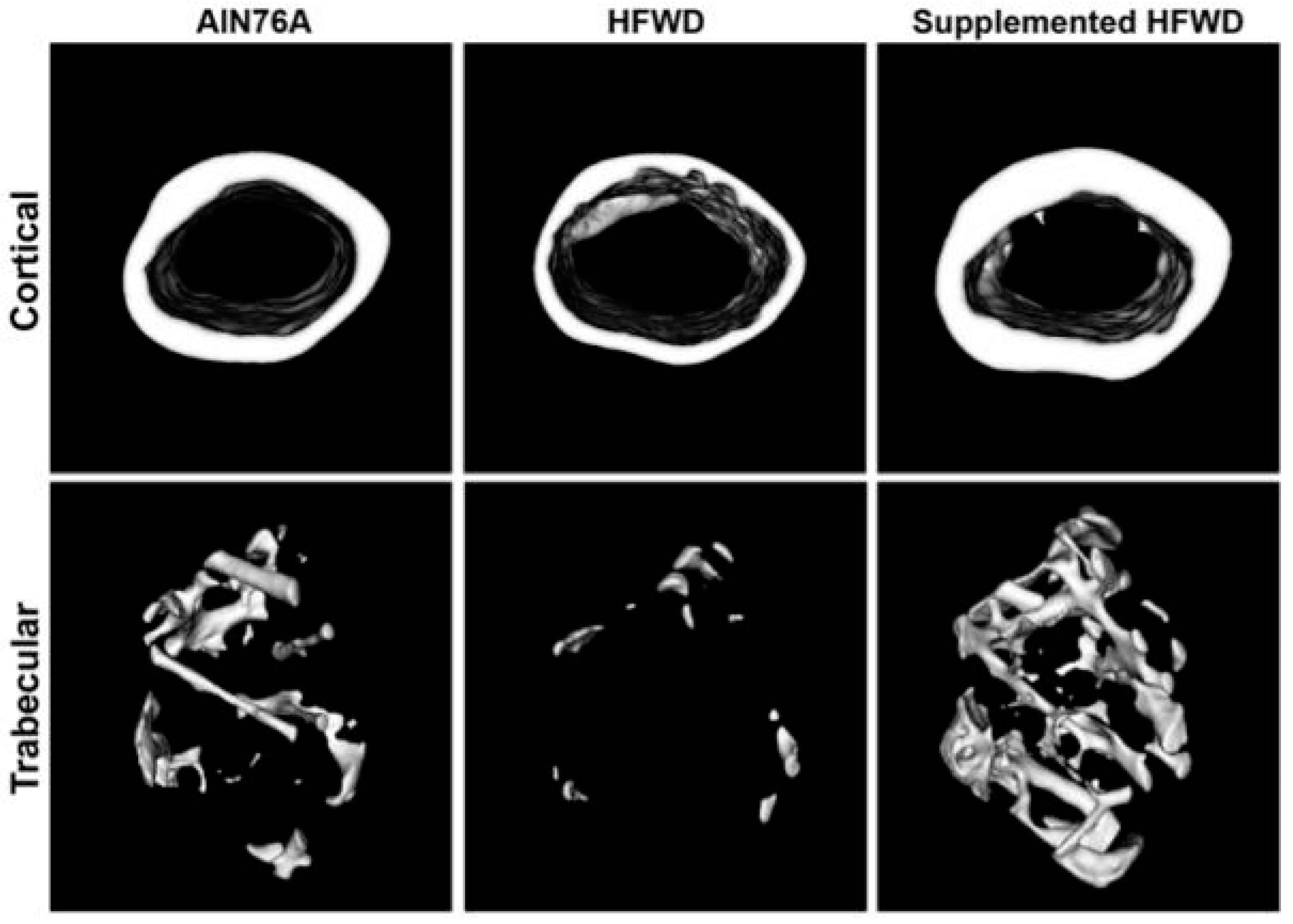 Osteology 03 00004 g003