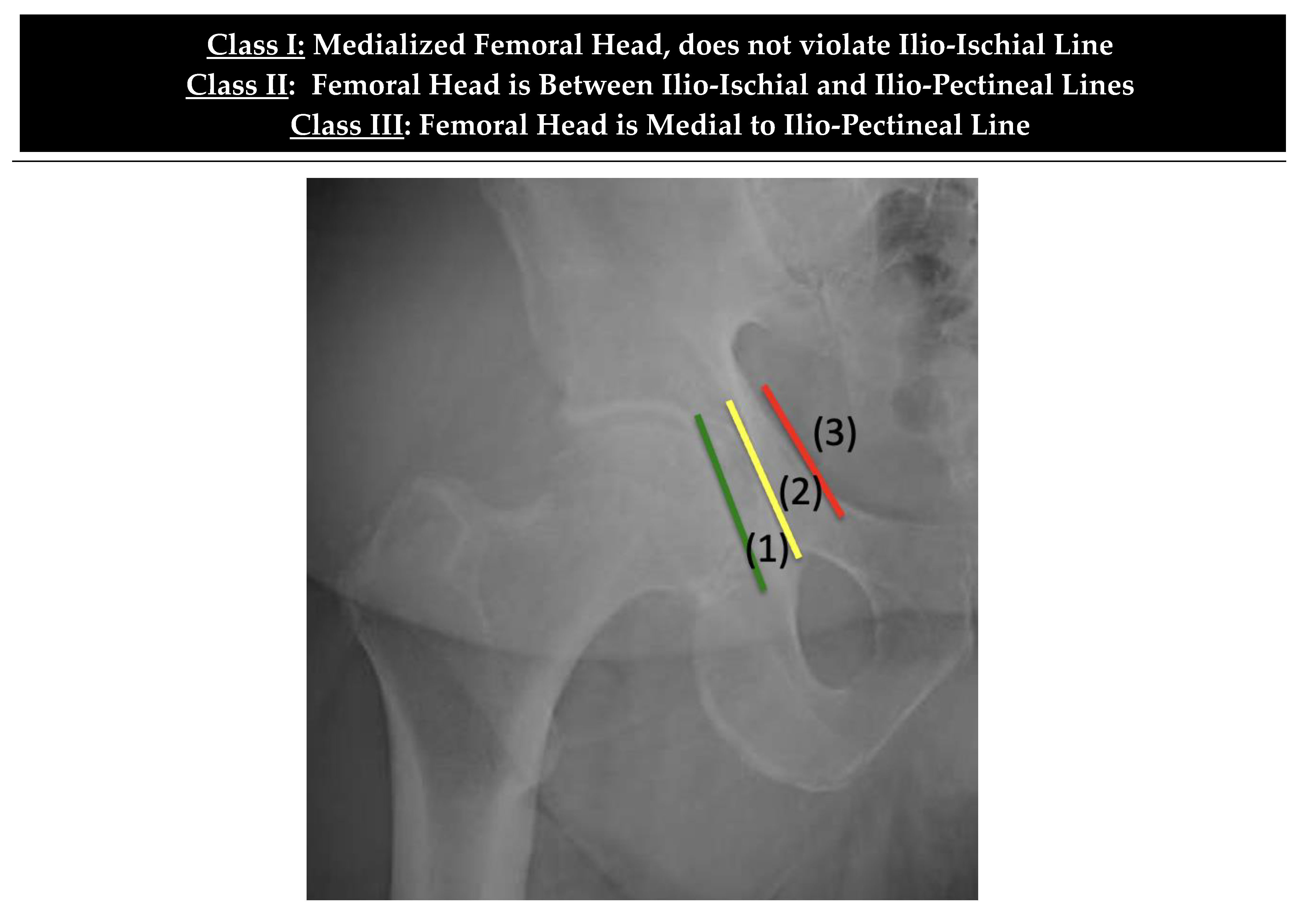 Osteology 03 00005 g001 Osteology 03 00005 g001