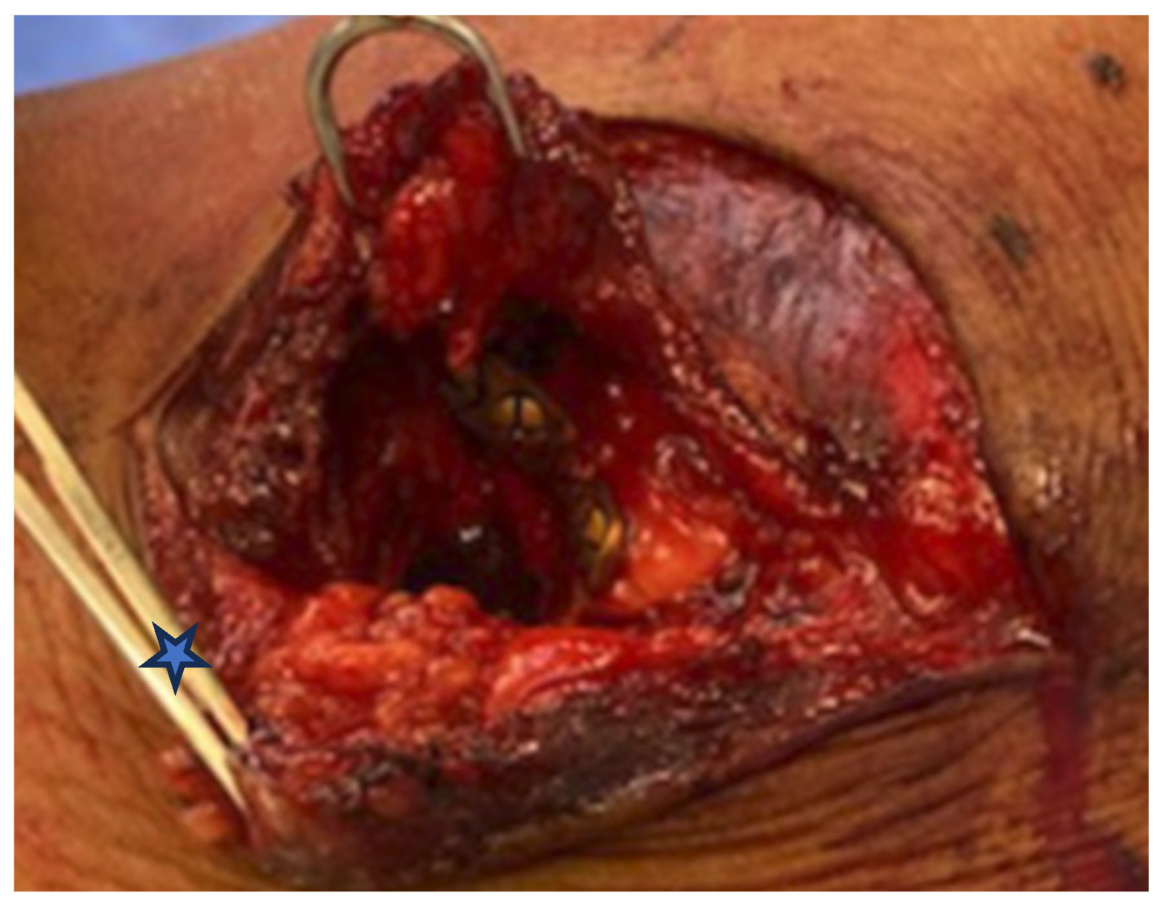 Osteology 03 00013 g003