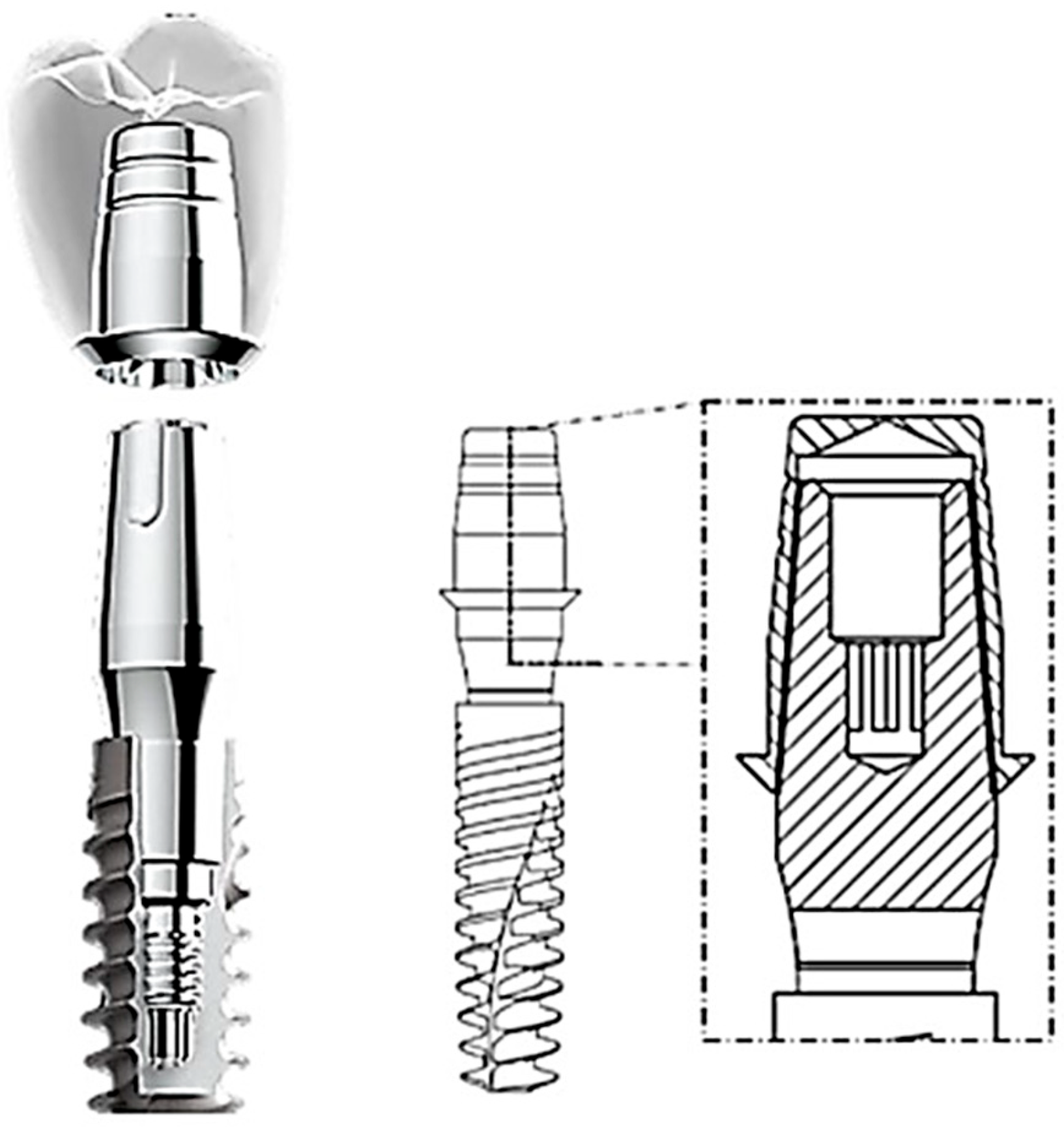 Osteology 03 00015 g001 Osteology 03 00015 g001