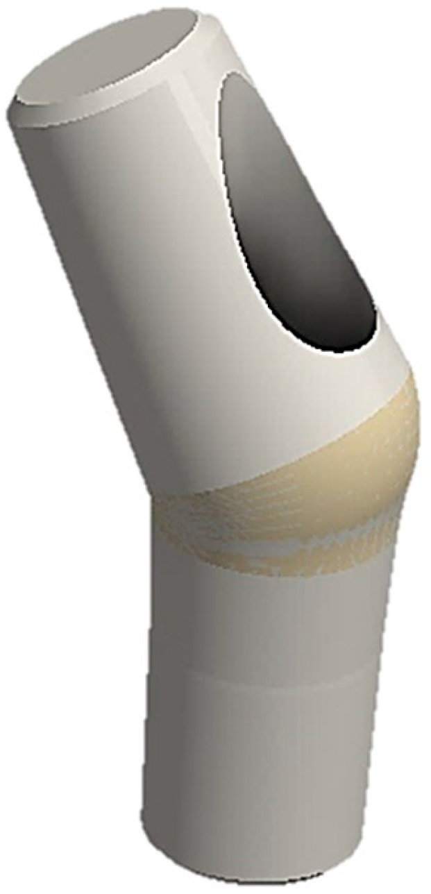 Osteology 03 00015 g002 Osteology 03 00015 g002