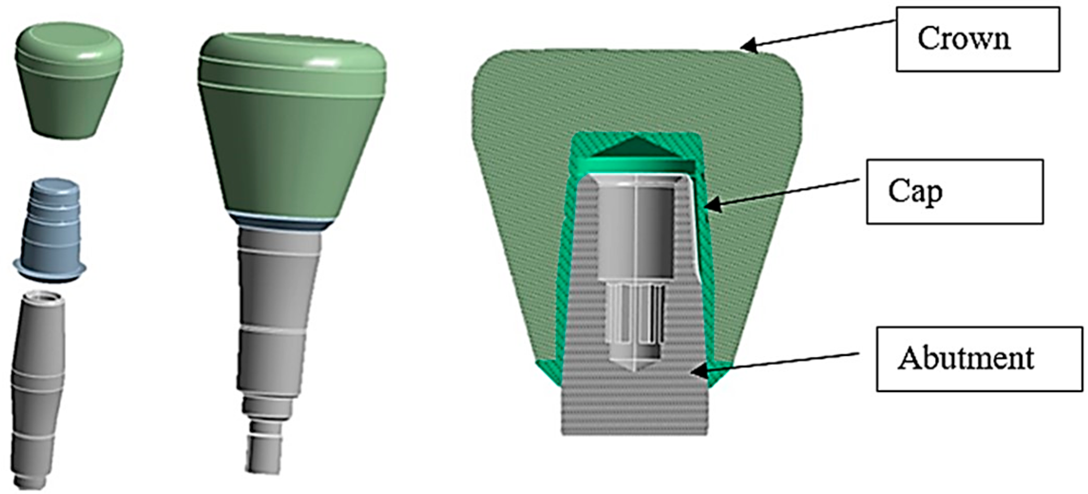 Osteology 03 00015 g003 Osteology 03 00015 g003
