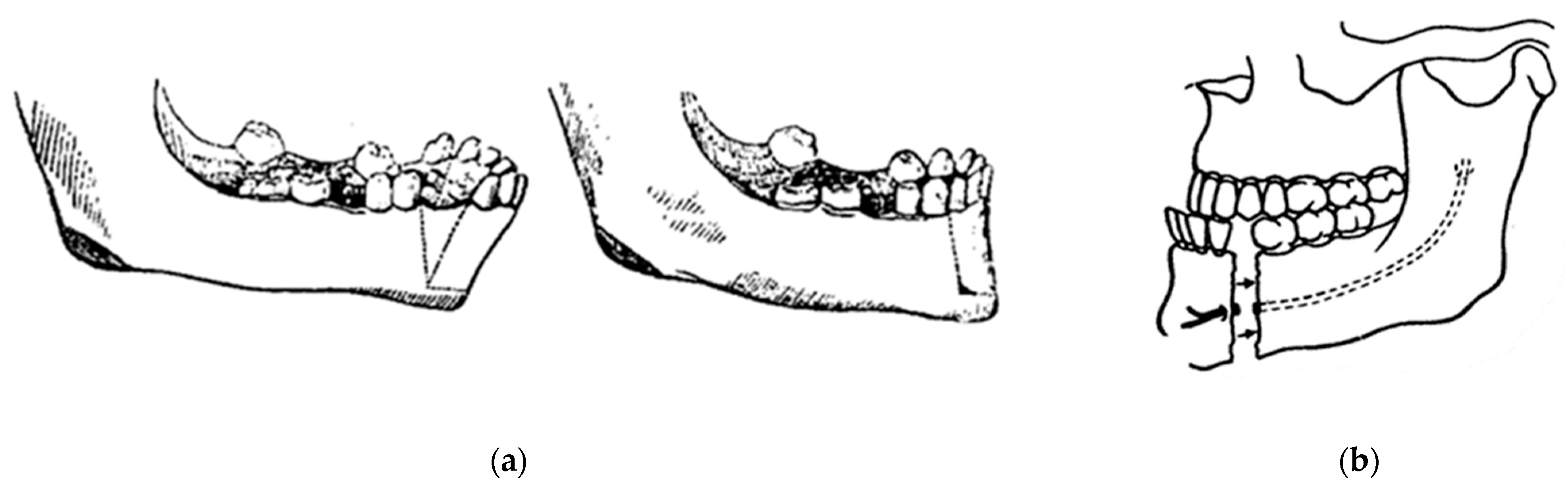 Osteology 04 00002 g001
