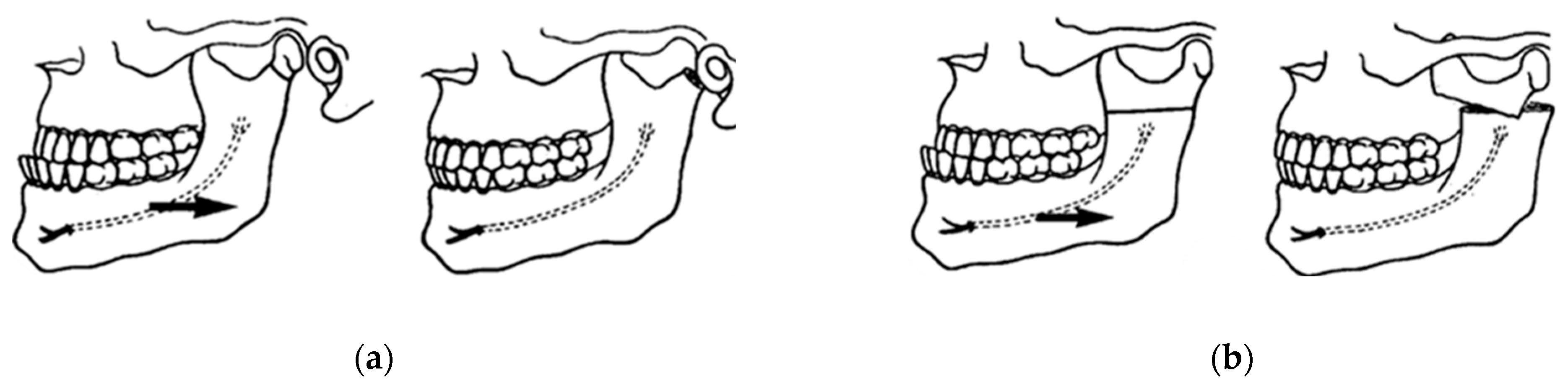 Osteology 04 00002 g002