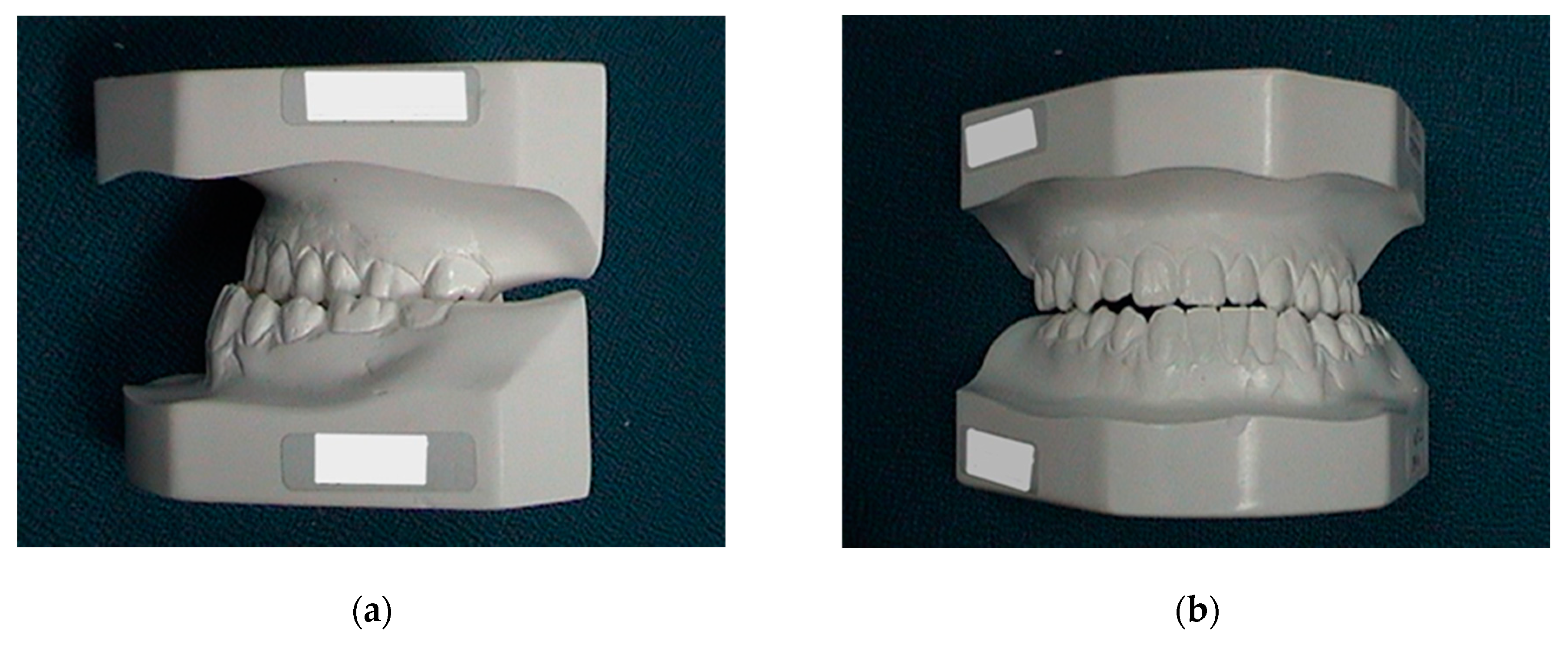 Osteology 04 00002 g010