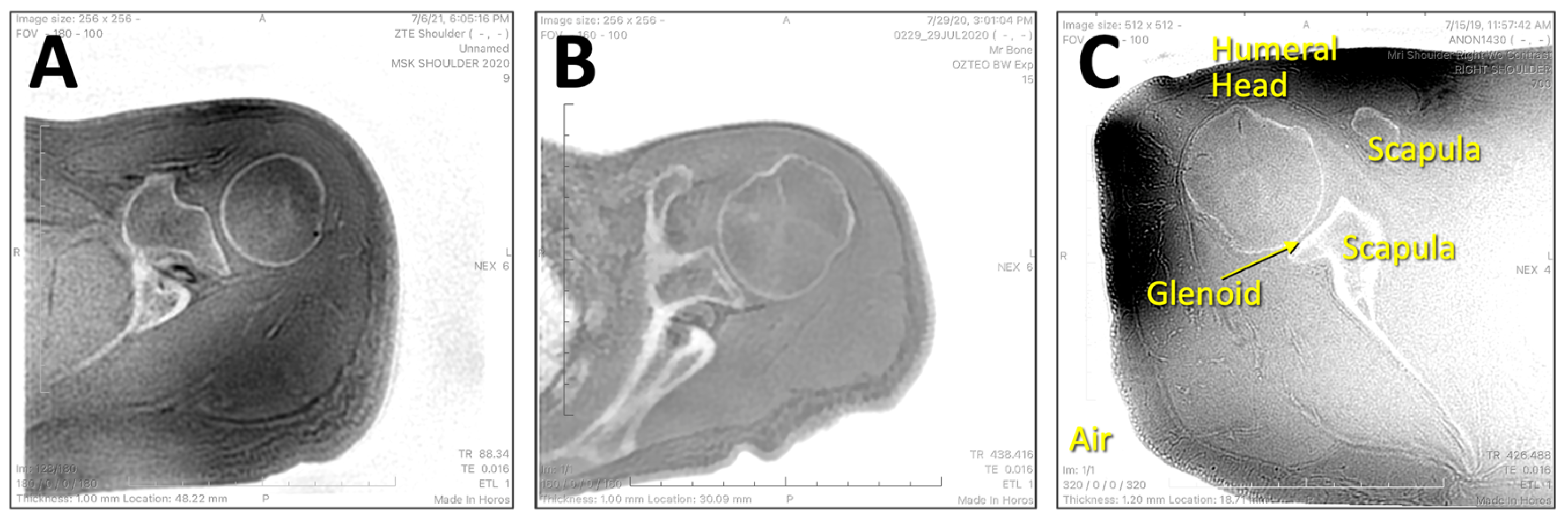 Osteology 04 00008 g002
