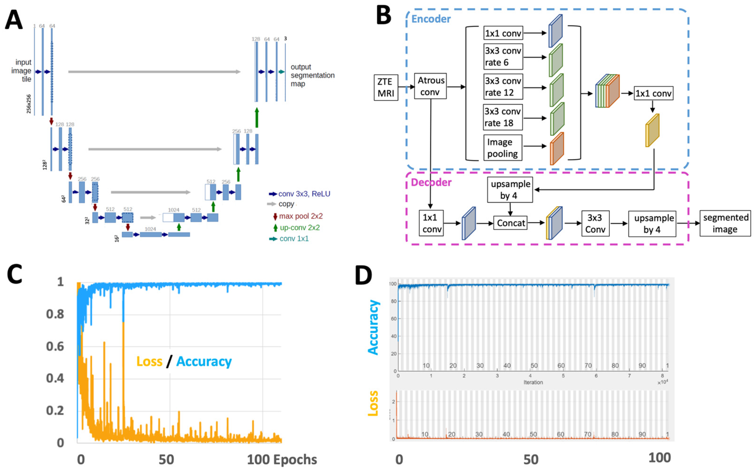 Osteology 04 00008 g004