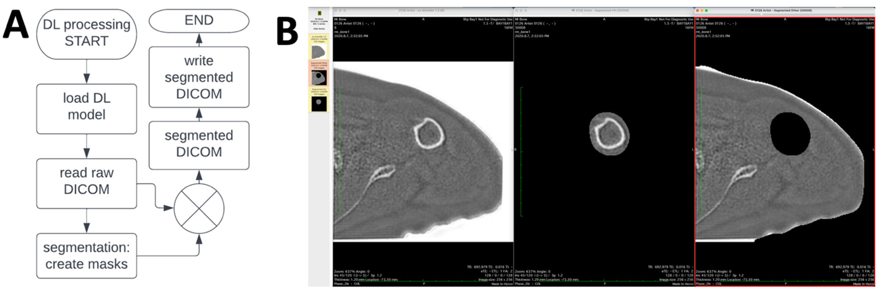 Osteology 04 00008 g005