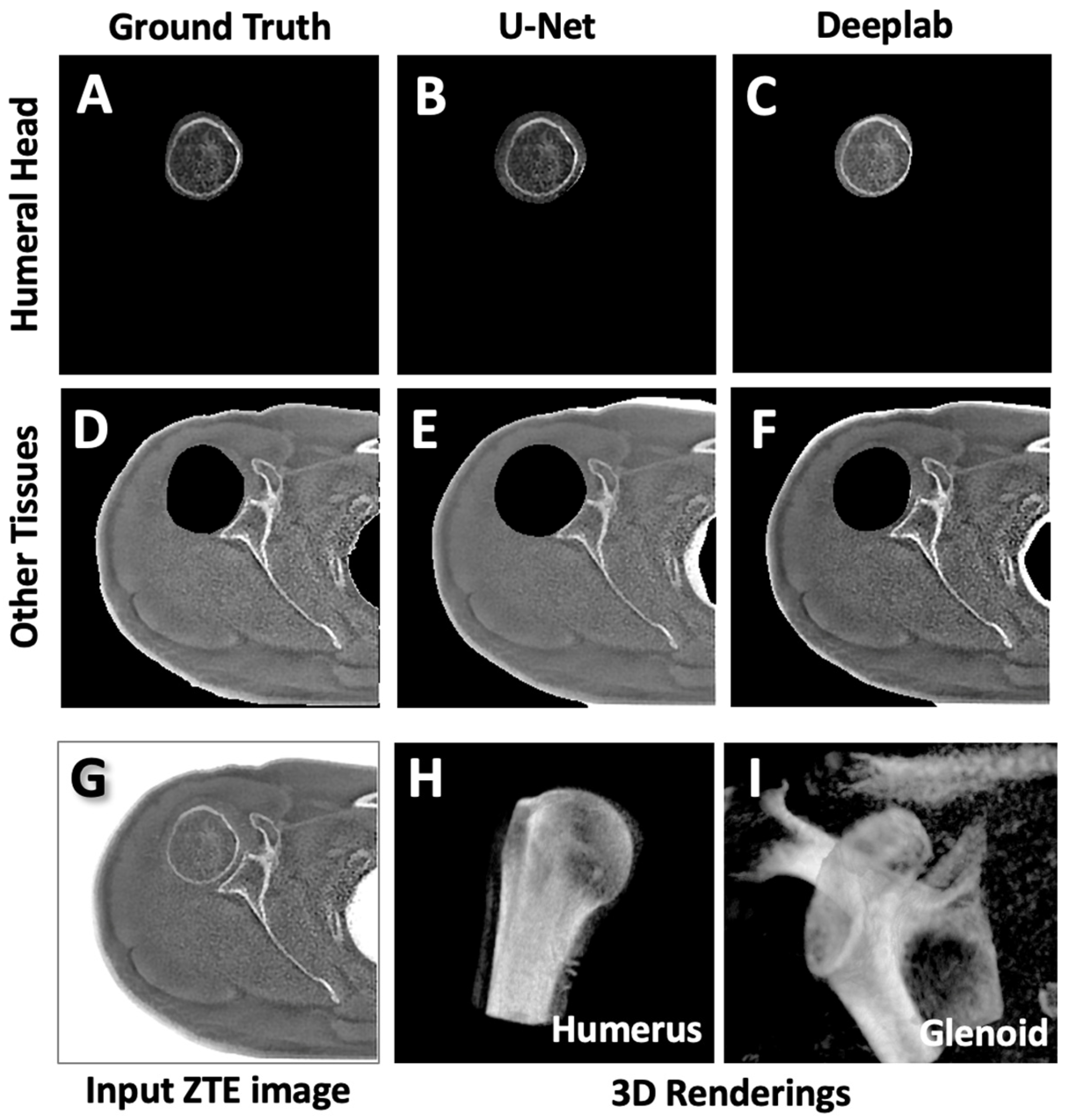 Osteology 04 00008 g006