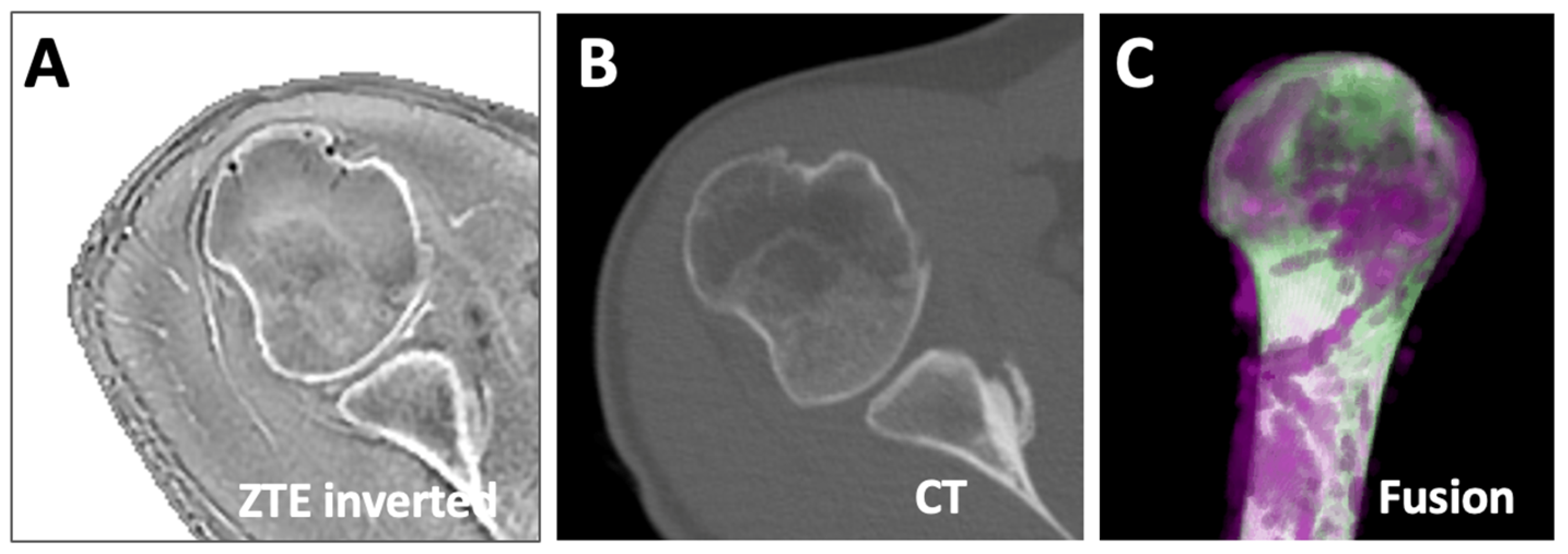 Osteology 04 00008 g008