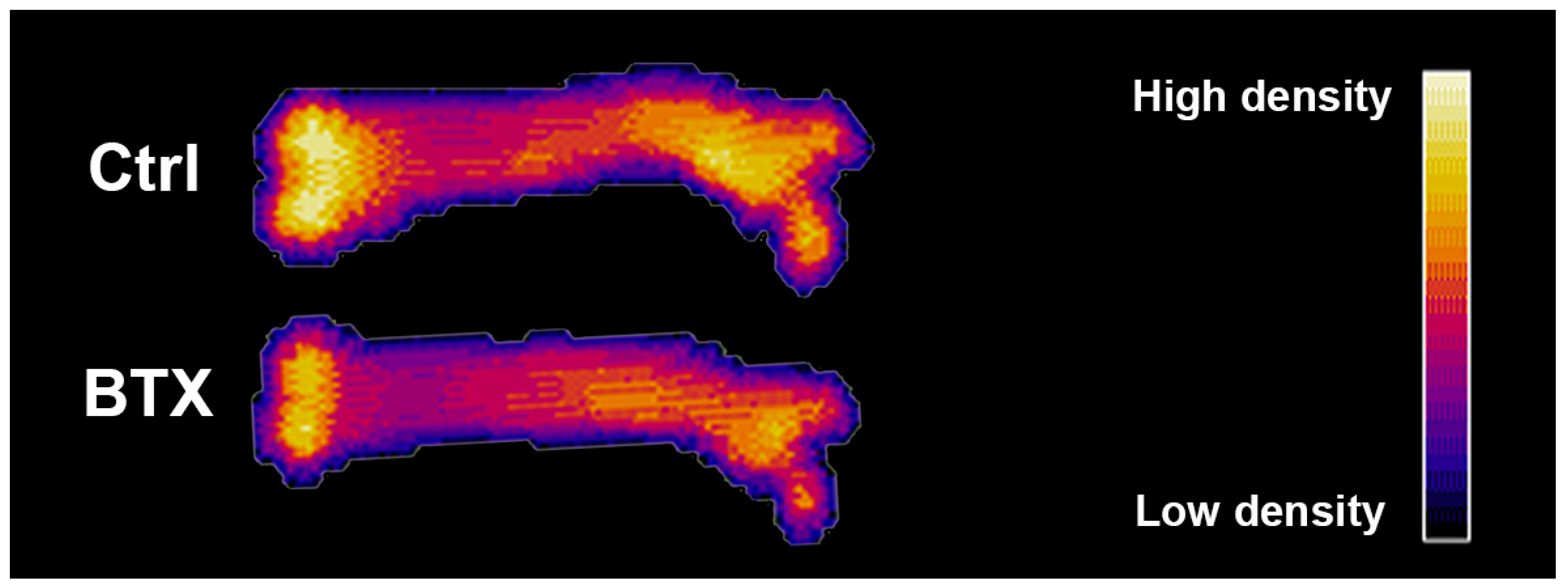 Osteology 04 00010 g001