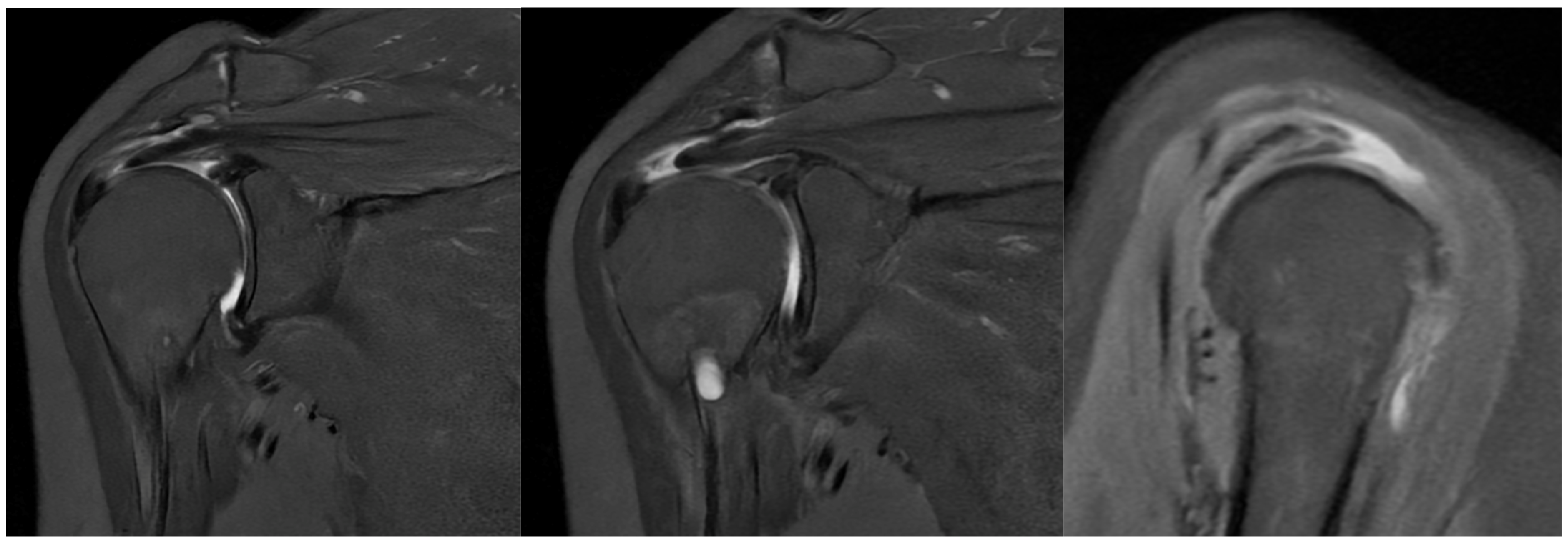 Osteology 05 00012 g001