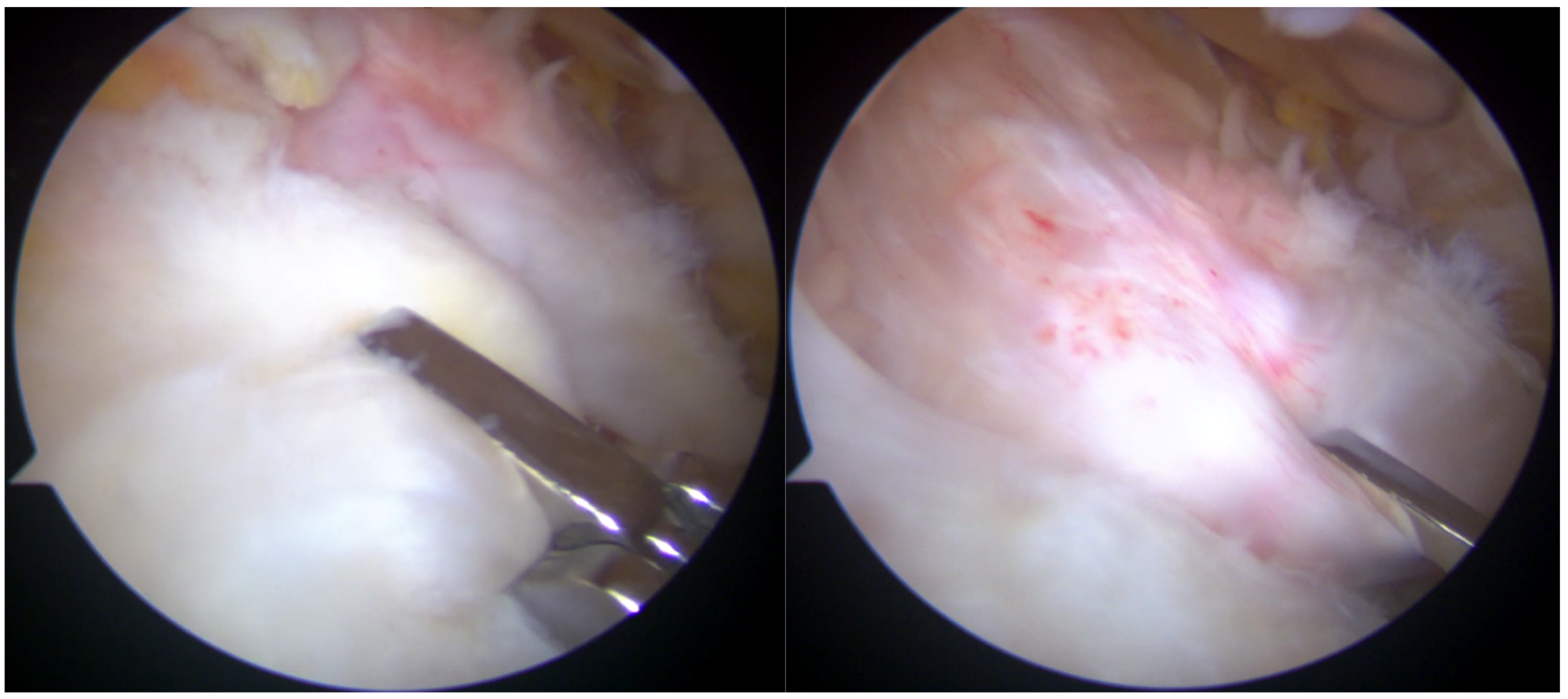Osteology 05 00012 g004