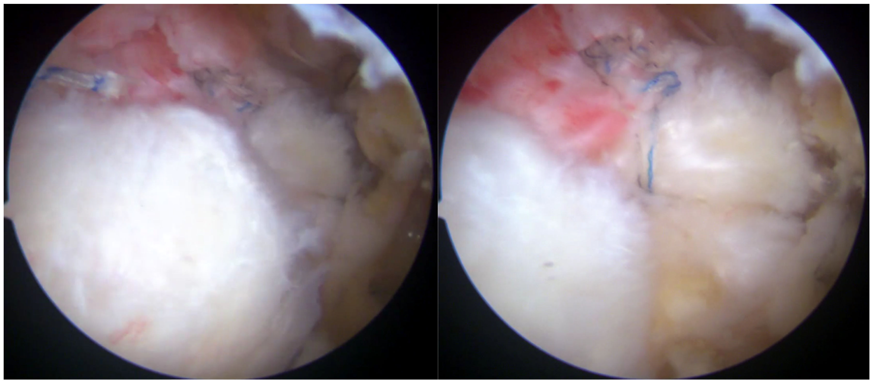 Osteology 05 00012 g005