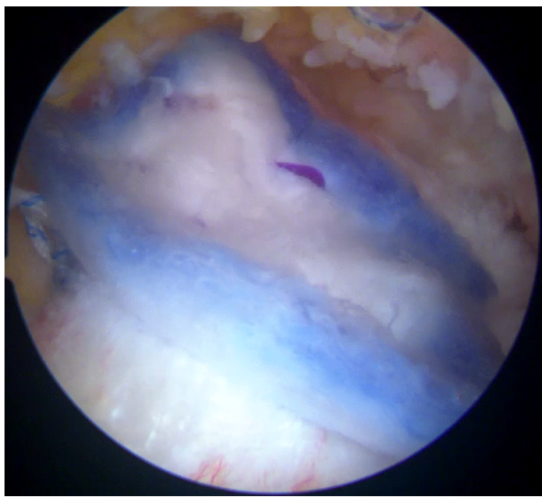 Osteology 05 00012 g006