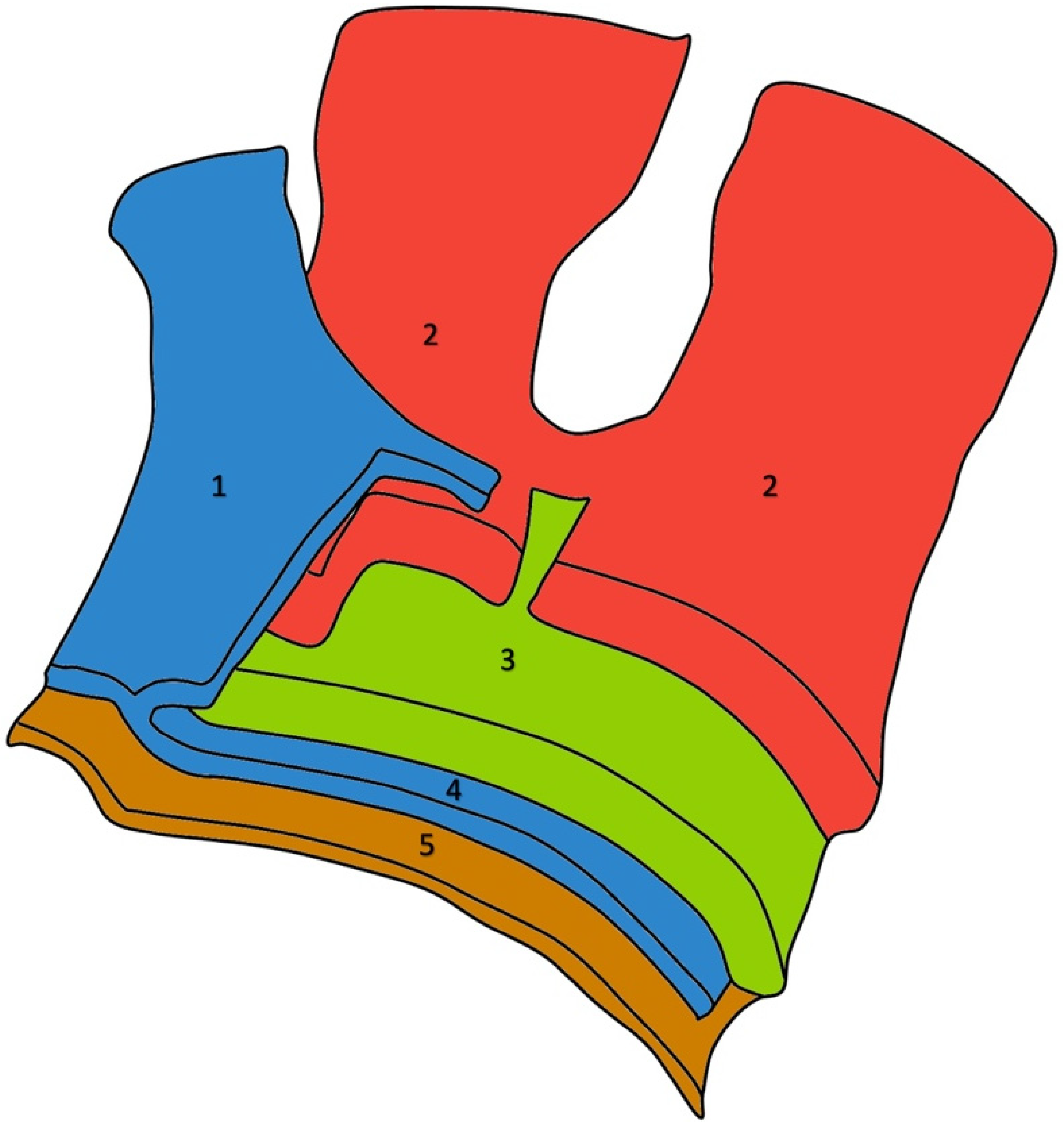 Osteology 05 00012 g011