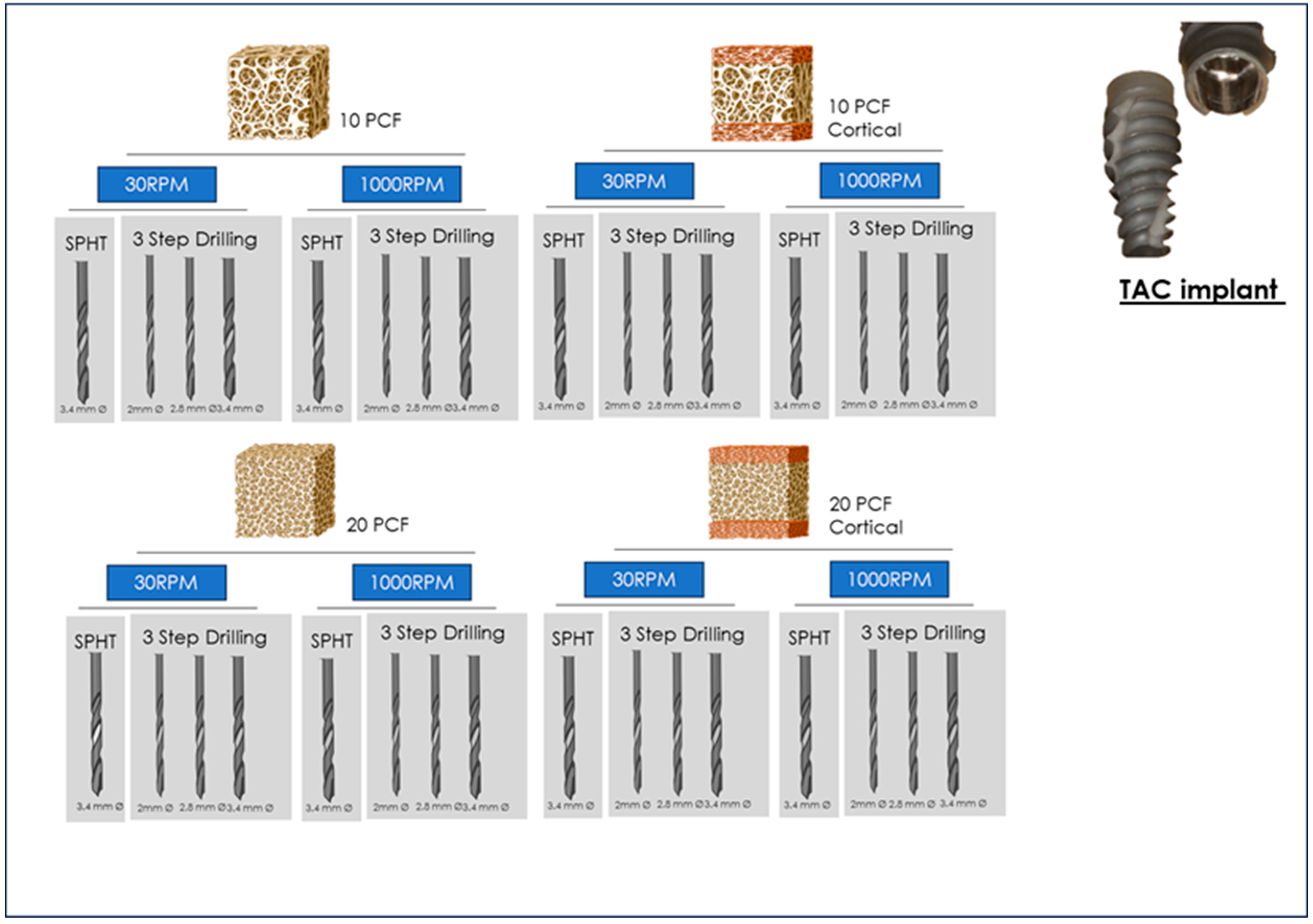Osteology 05 00017 g001
