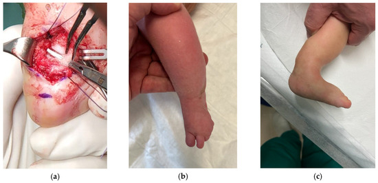 Osteology 05 00021 g003