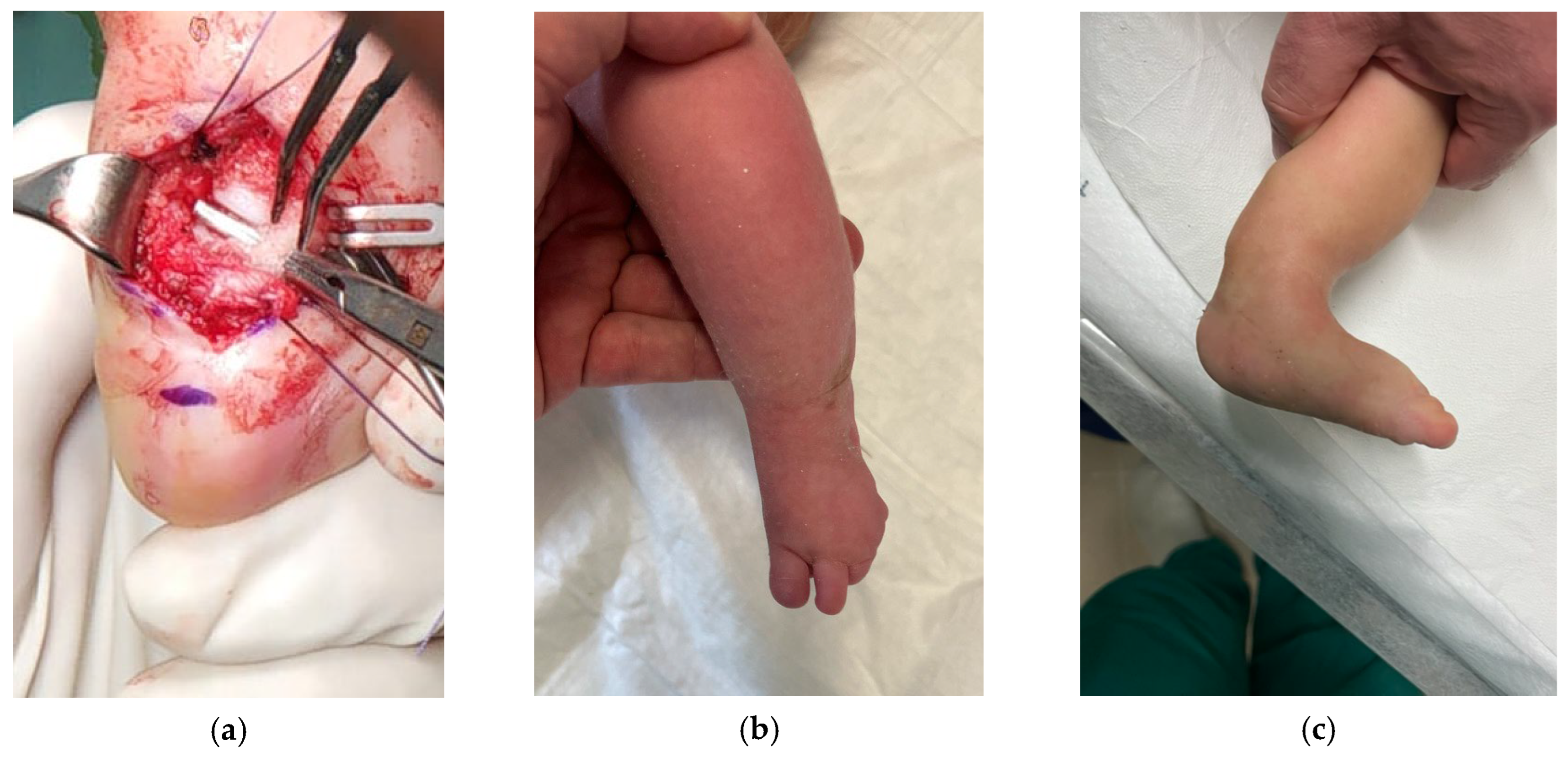 Osteology 05 00021 g003