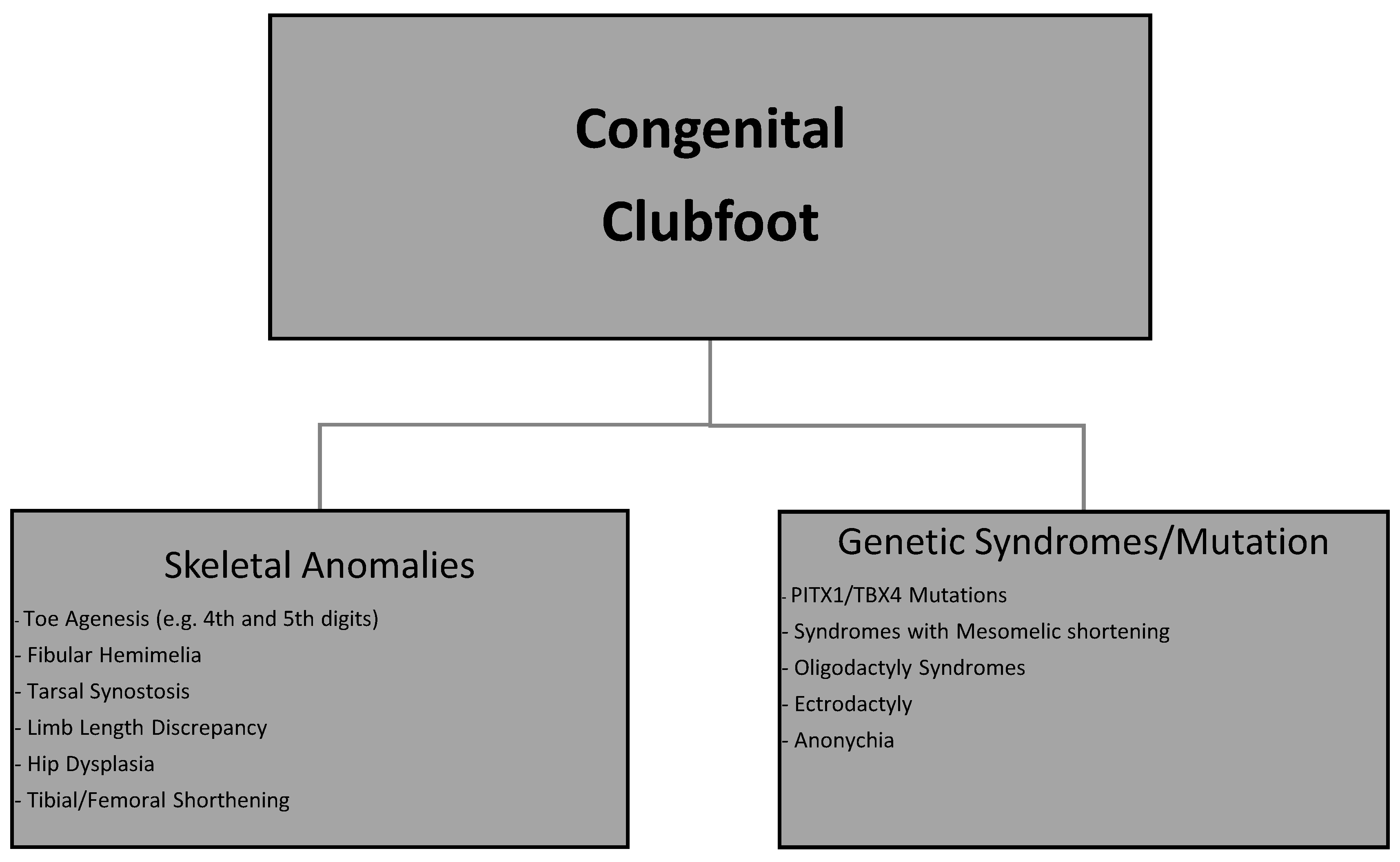 Osteology 05 00021 g005