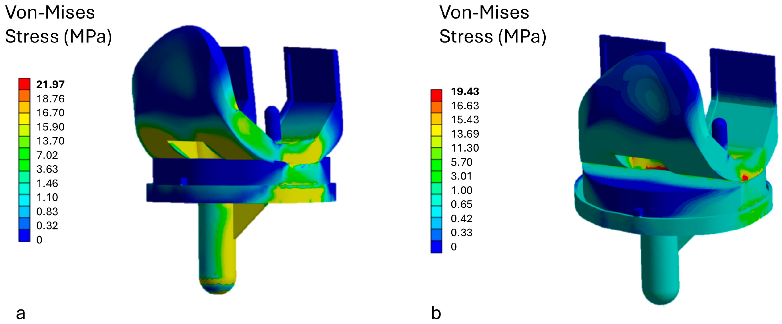 Osteology 05 00024 g006