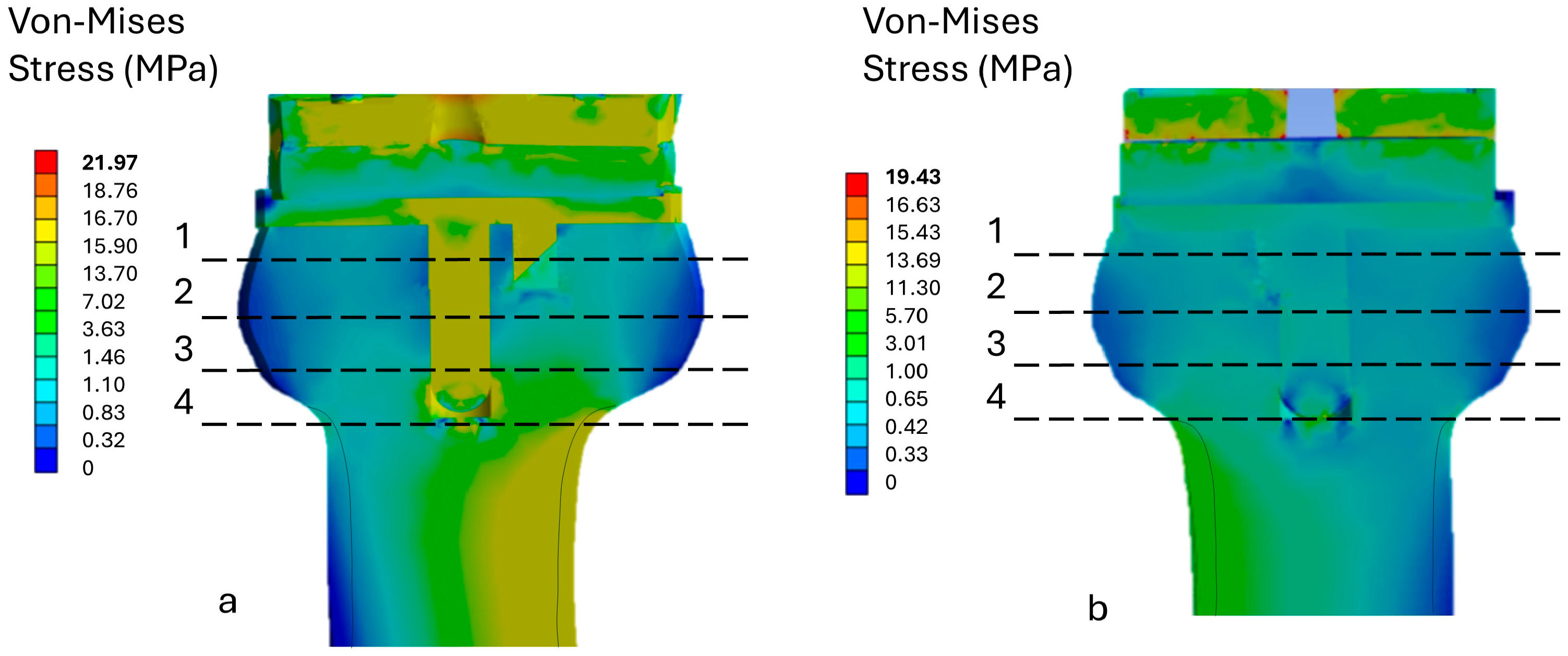 Osteology 05 00024 g008