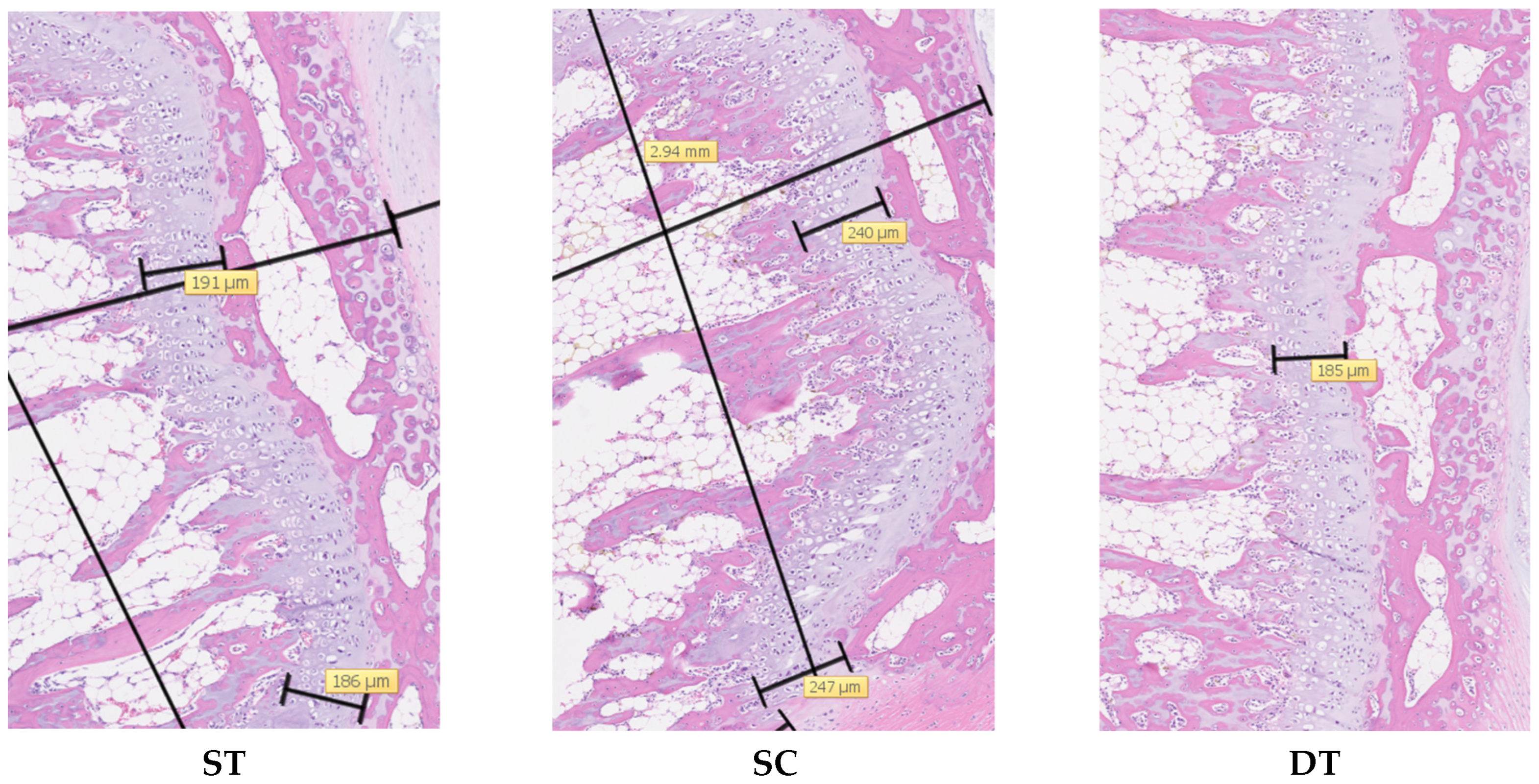 Osteology 05 00031 g003