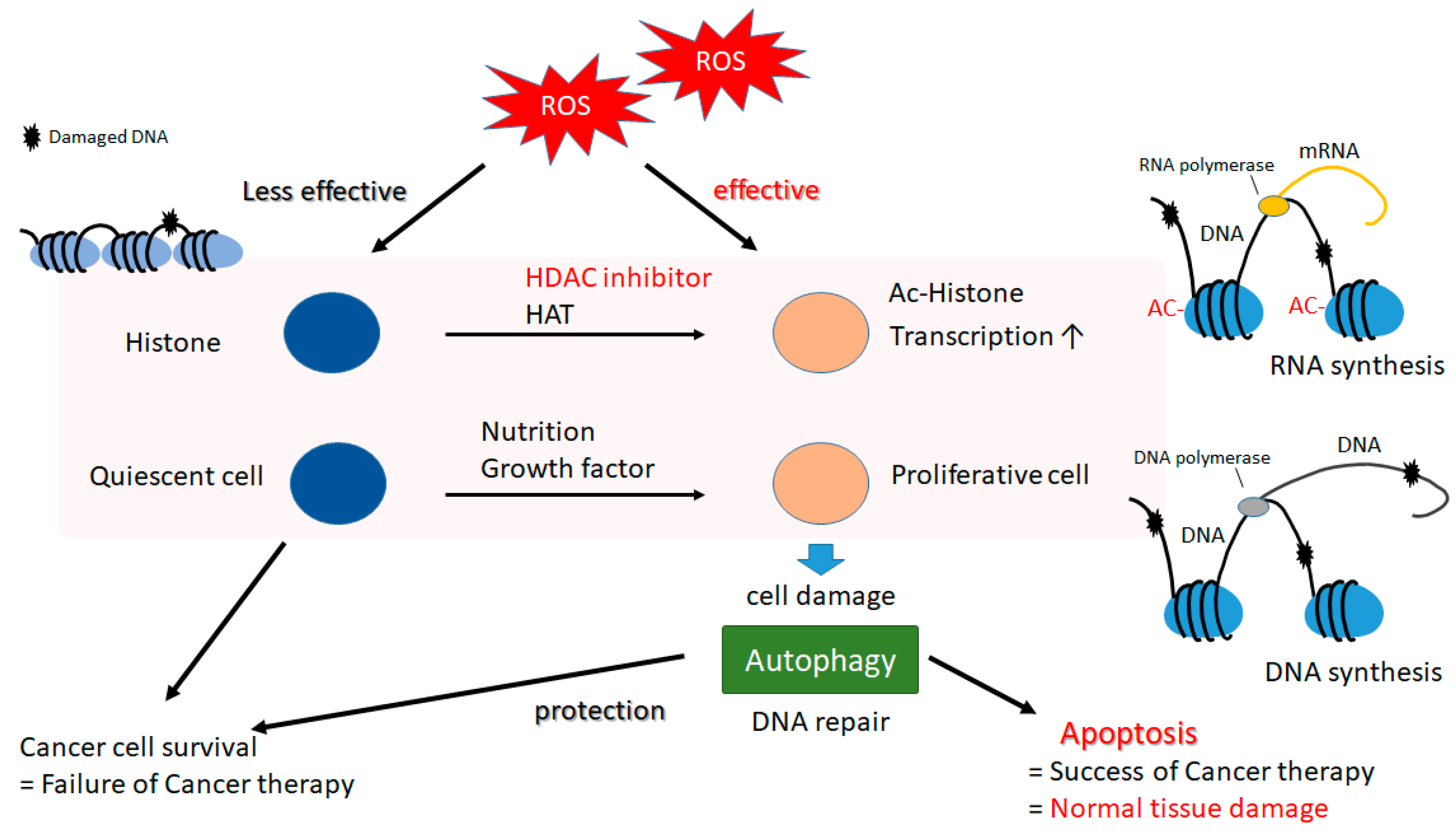 Oxygen 01 00004 g002