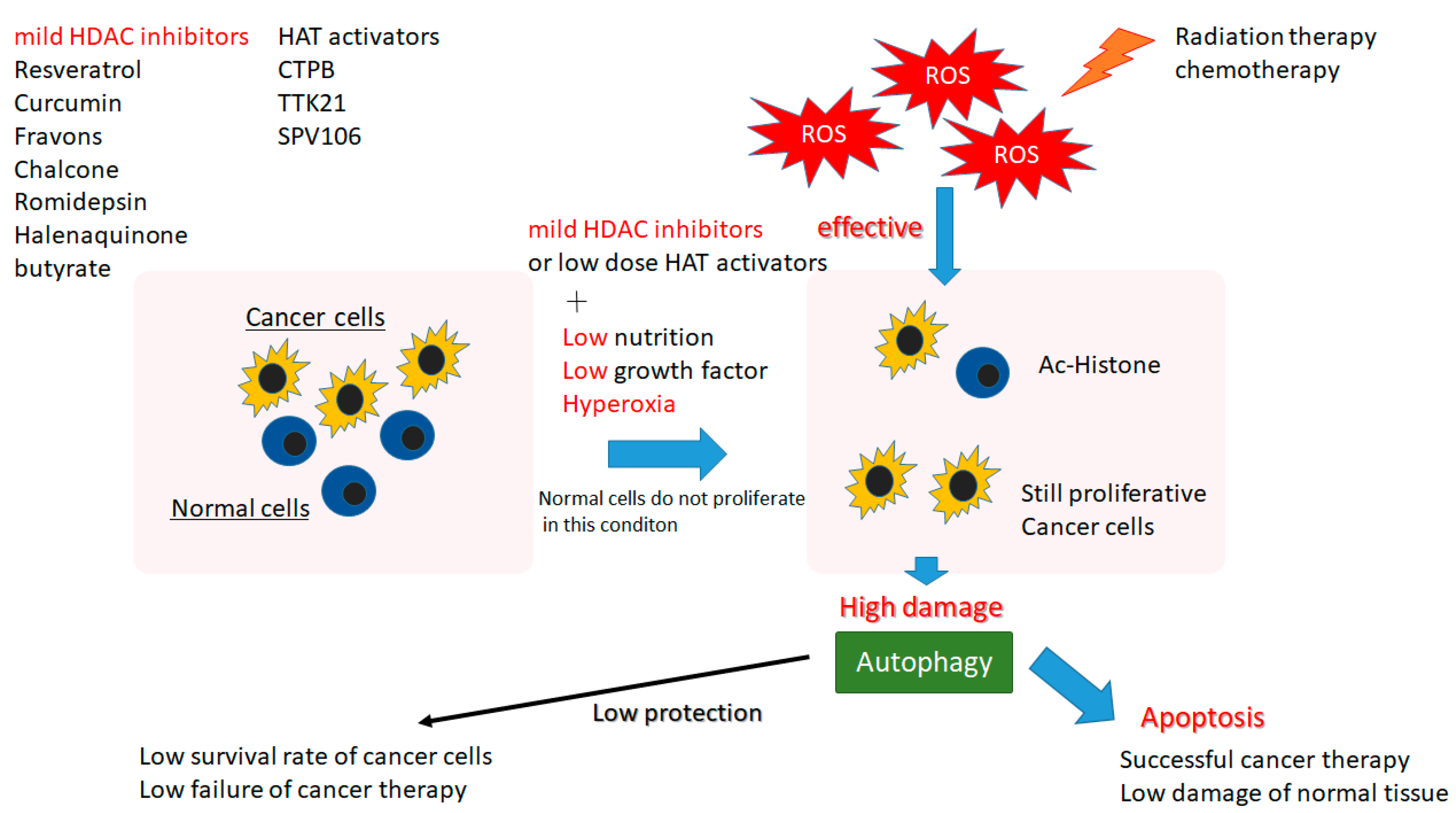 Oxygen 01 00004 g003