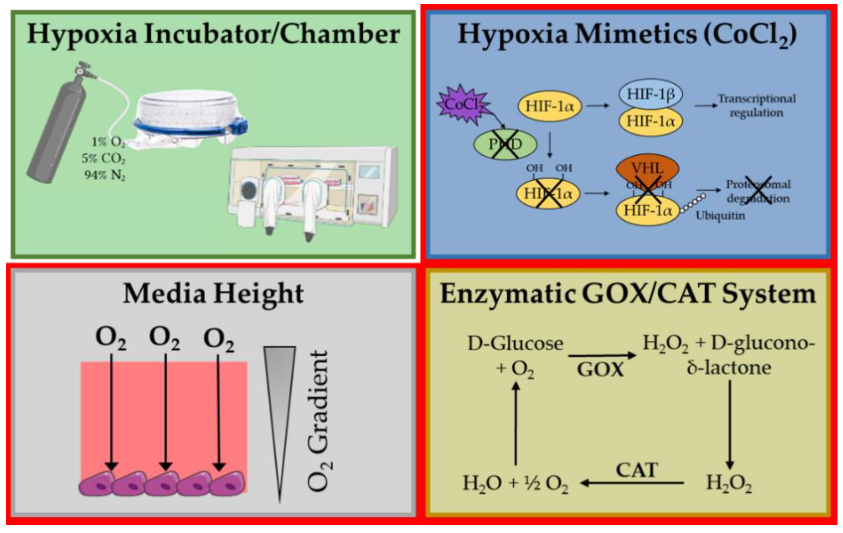 Oxygen 01 00006 g001