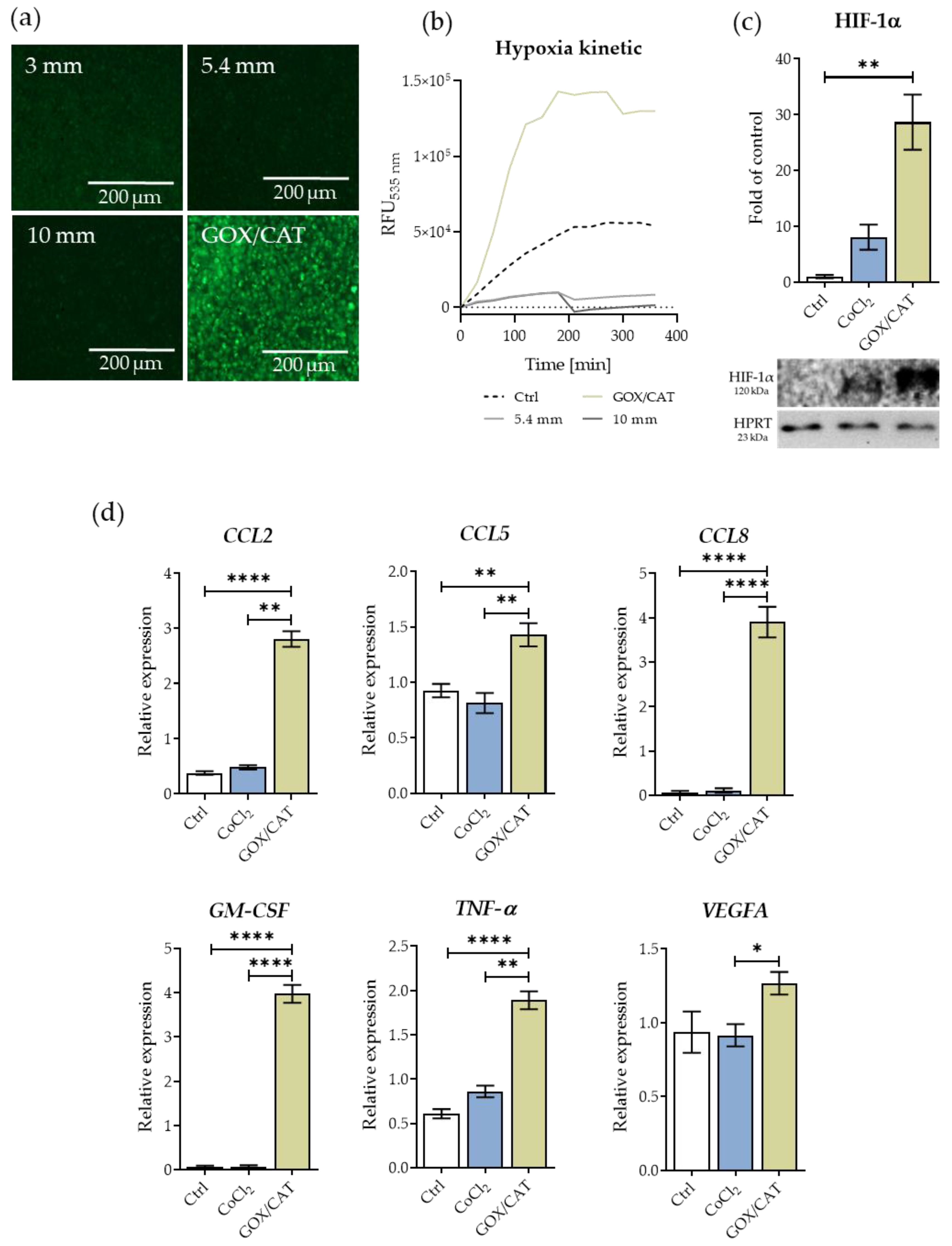 Oxygen 01 00006 g004