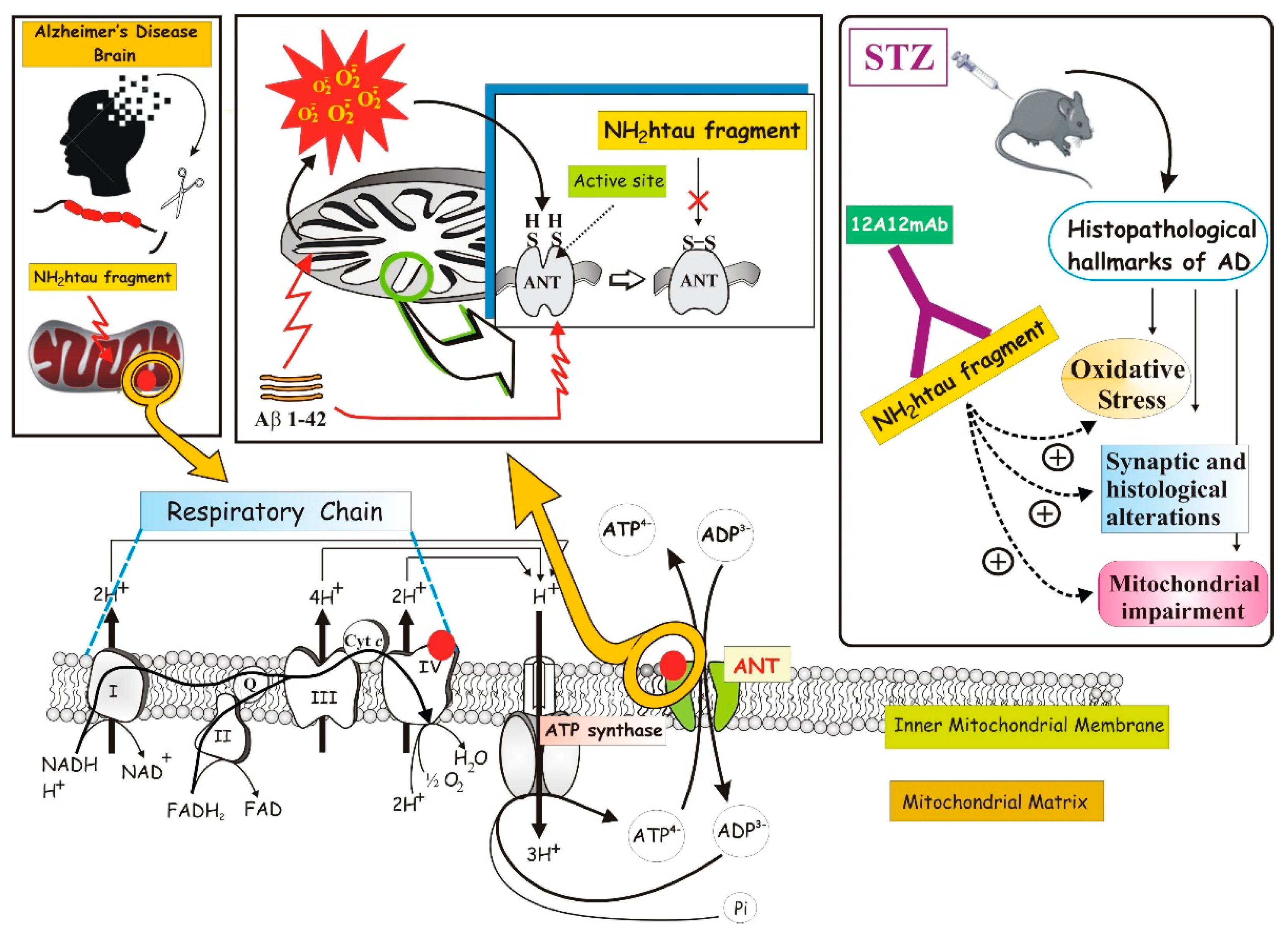 Oxygen 01 00010 g001