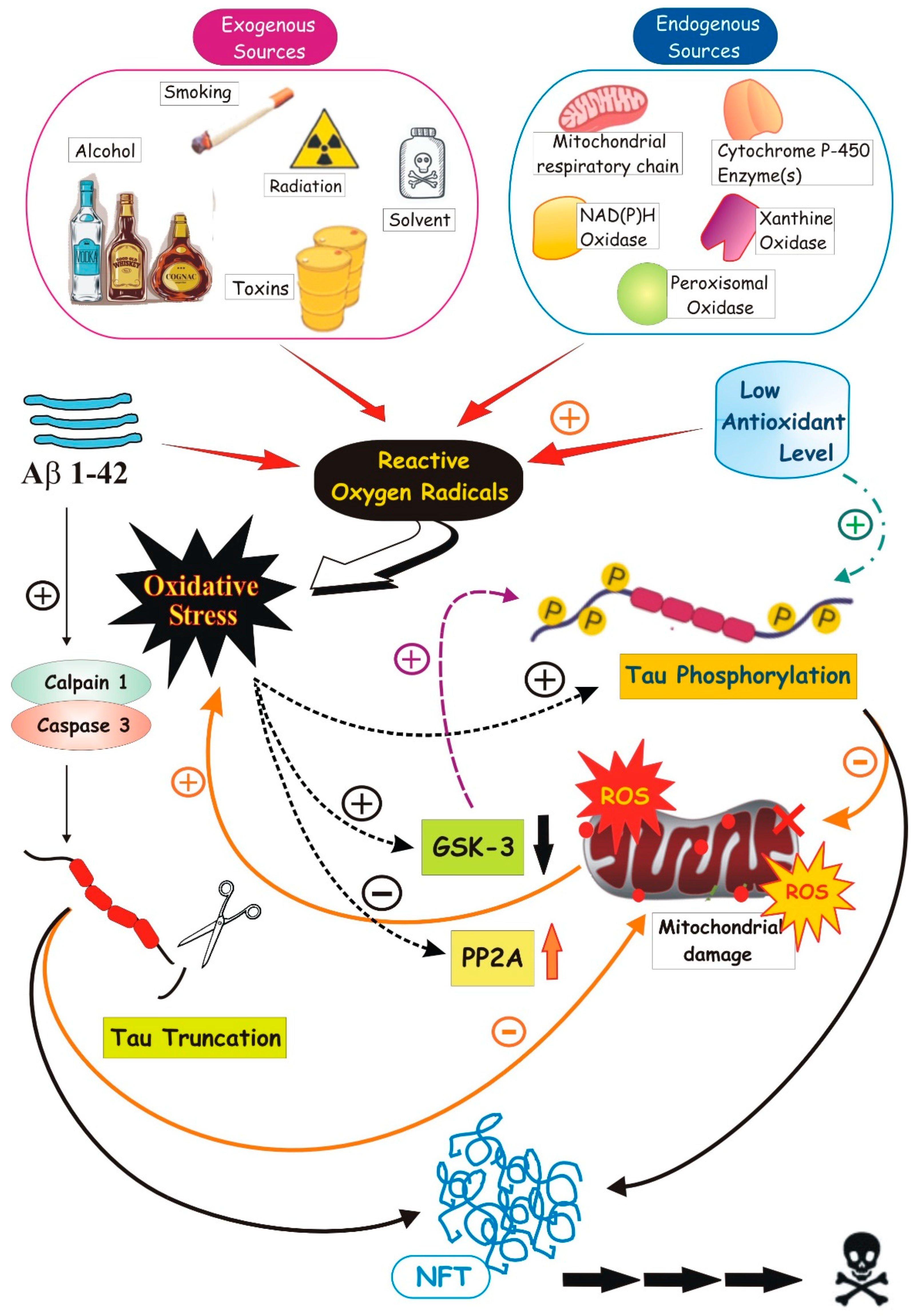 Oxygen 01 00010 g002