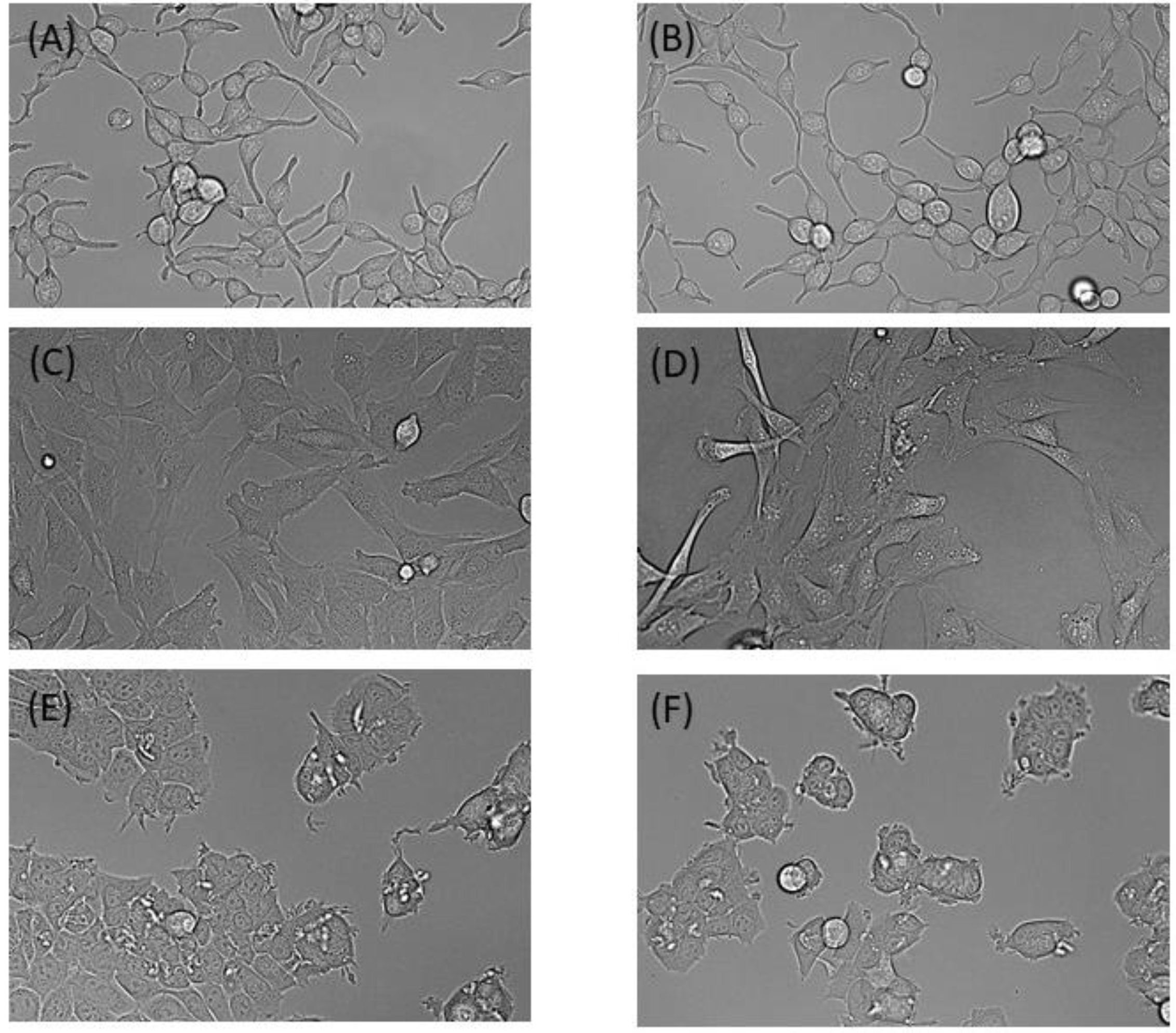 Oxygen 02 00003 g005