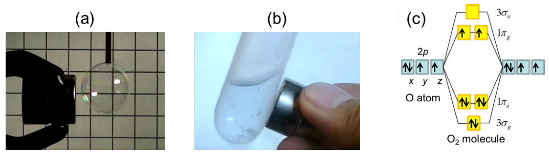 Oxygen 02 00013 g001