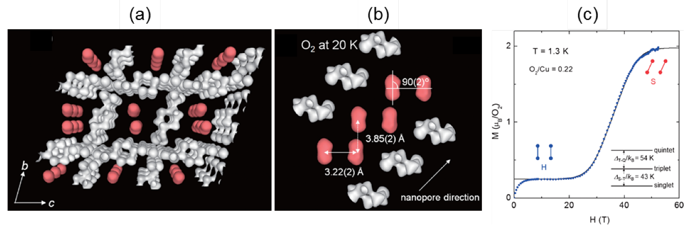 Oxygen 02 00013 g003