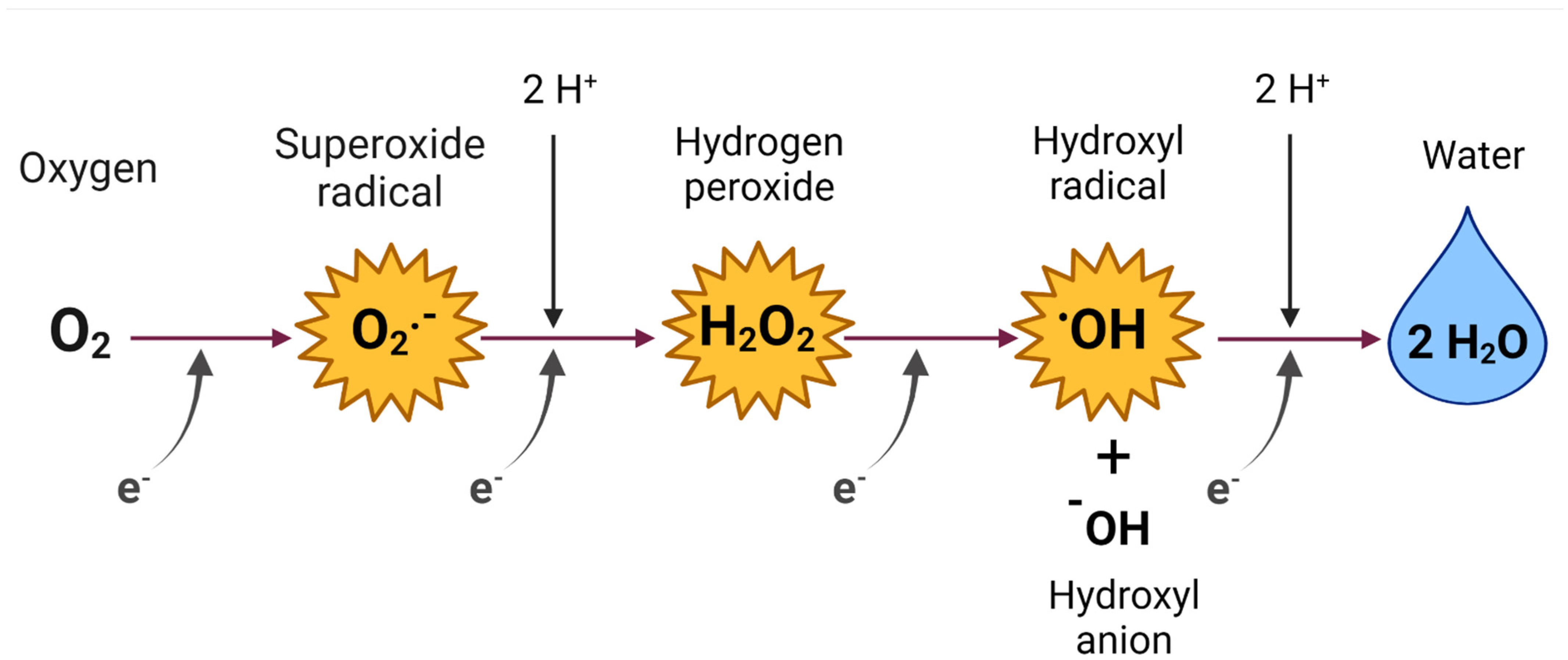 Oxygen 02 00015 g001