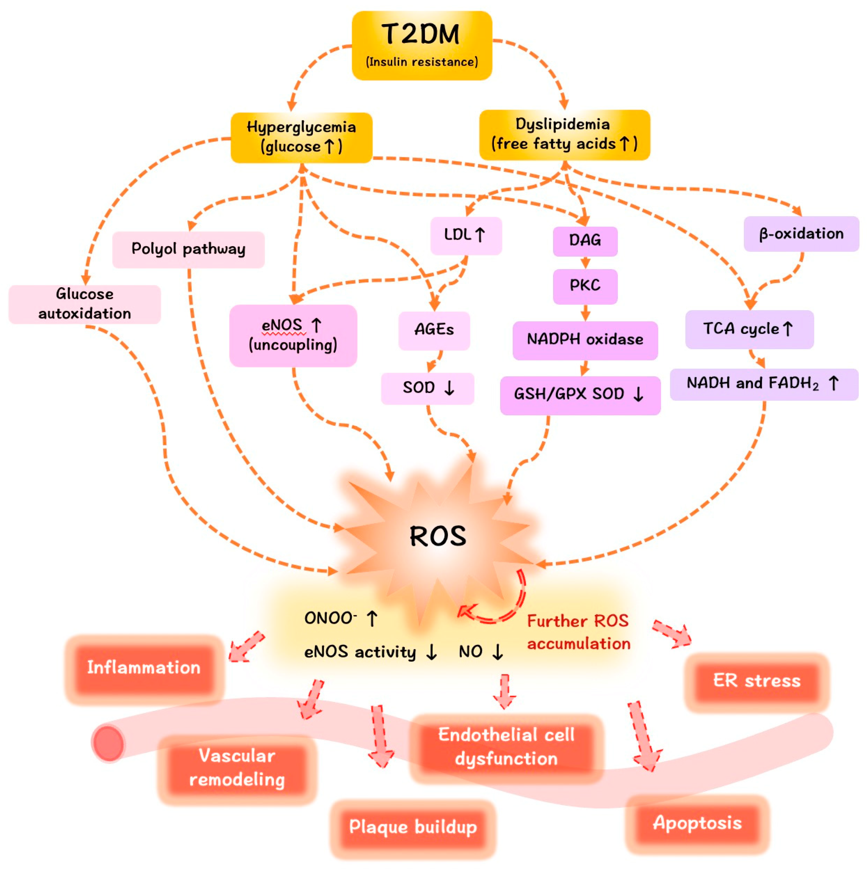 Oxygen 02 00018 g001