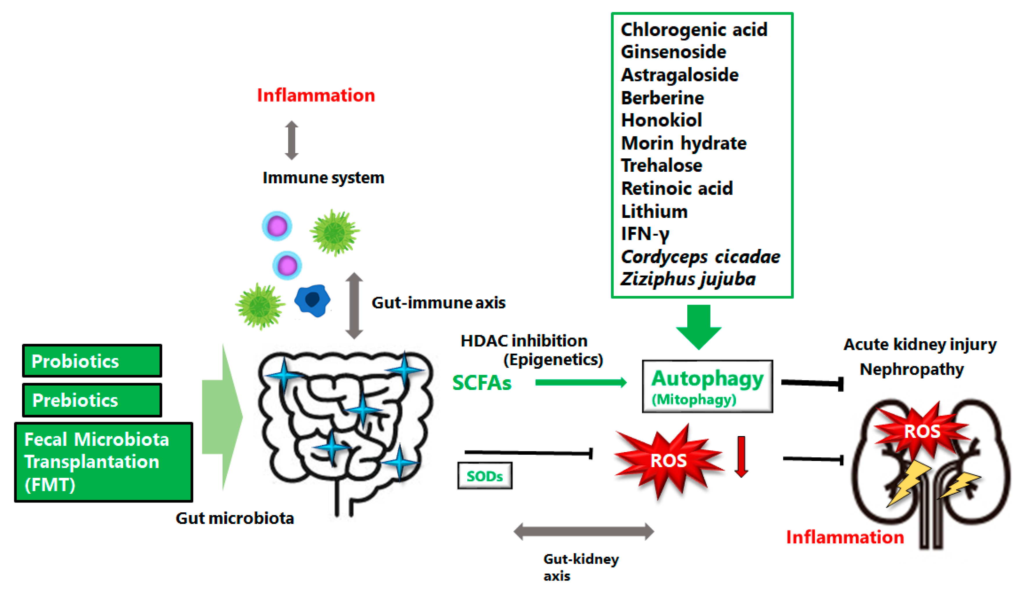 Oxygen 02 00022 g002 Oxygen 02 00022 g002
