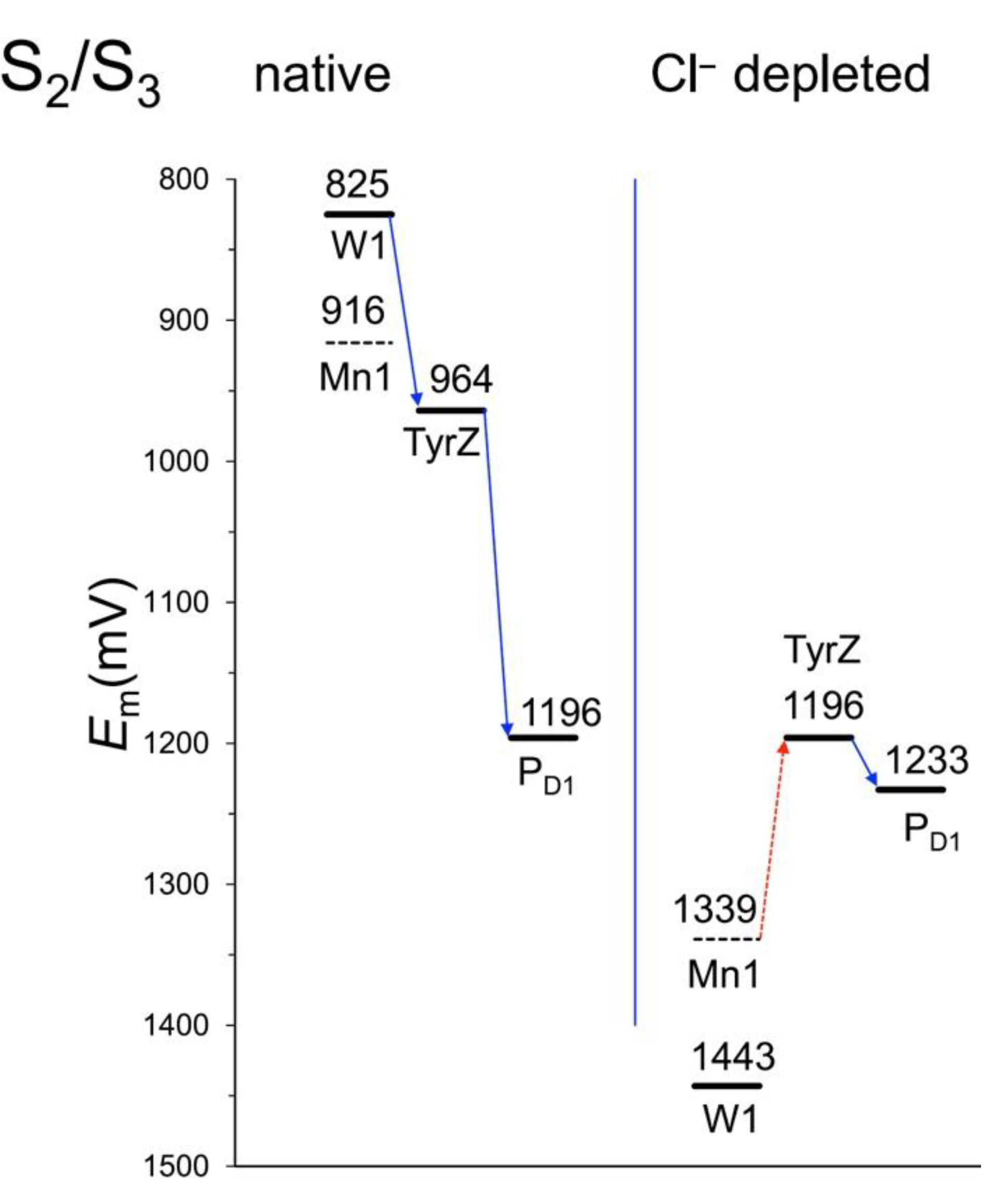 Oxygen 02 00024 g005