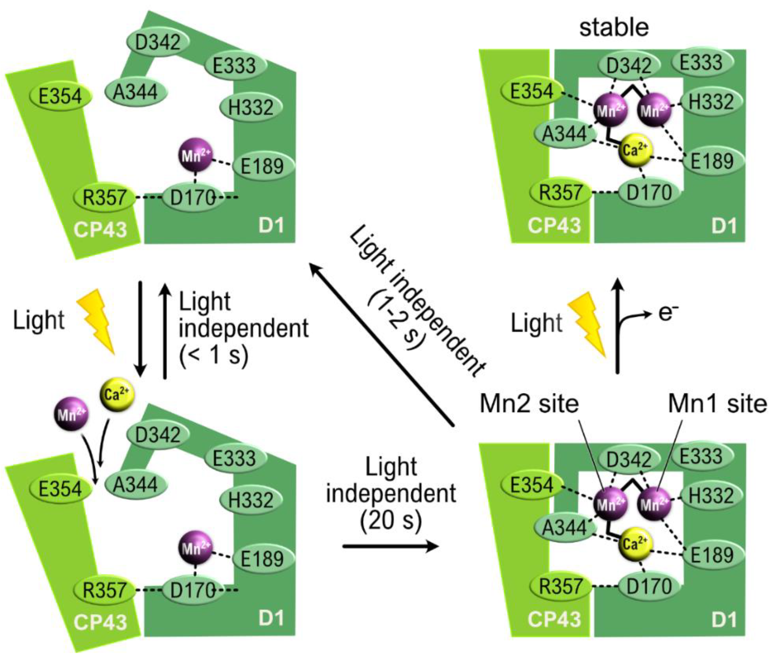 Oxygen 02 00024 g007