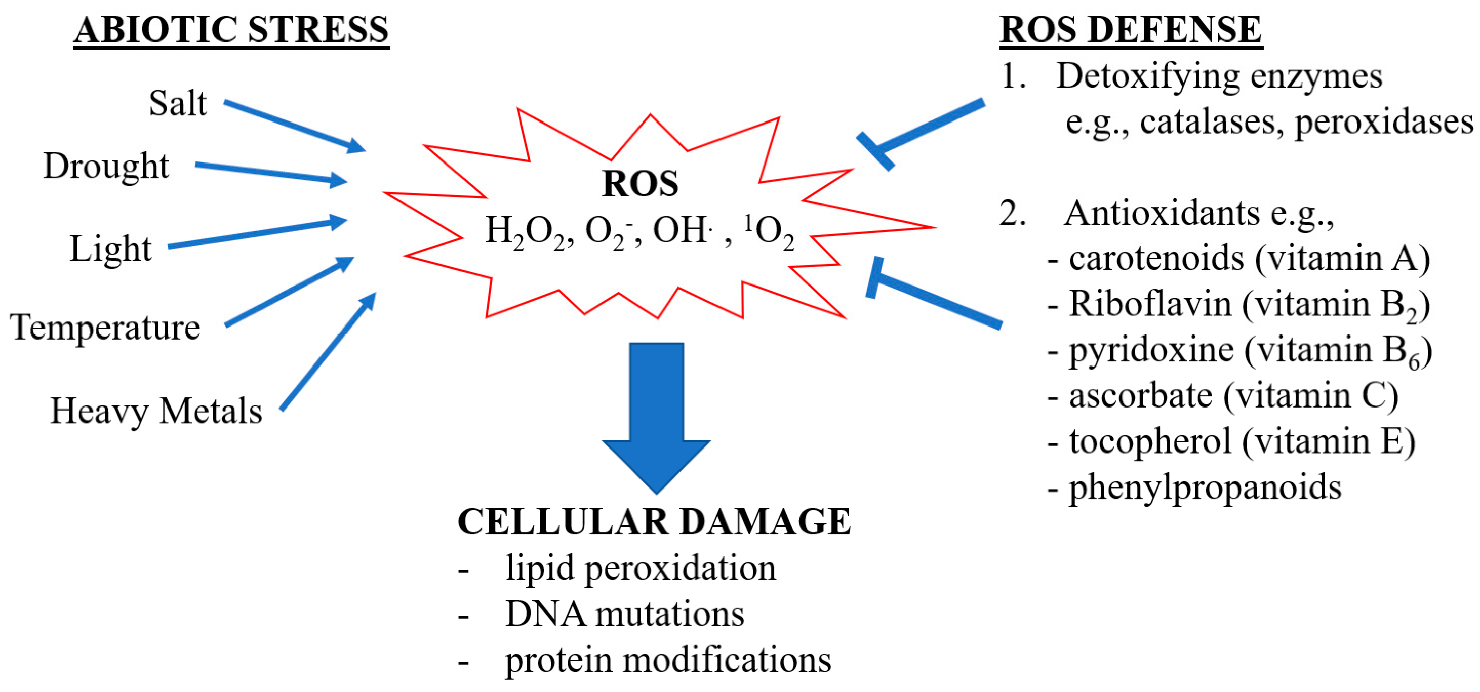 Oxygen 02 00025 g001