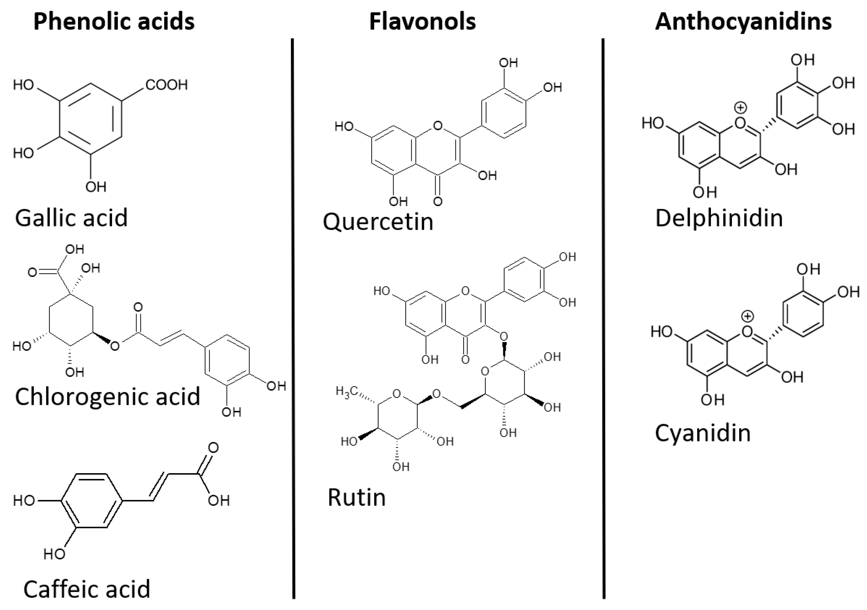 Oxygen 02 00025 g002