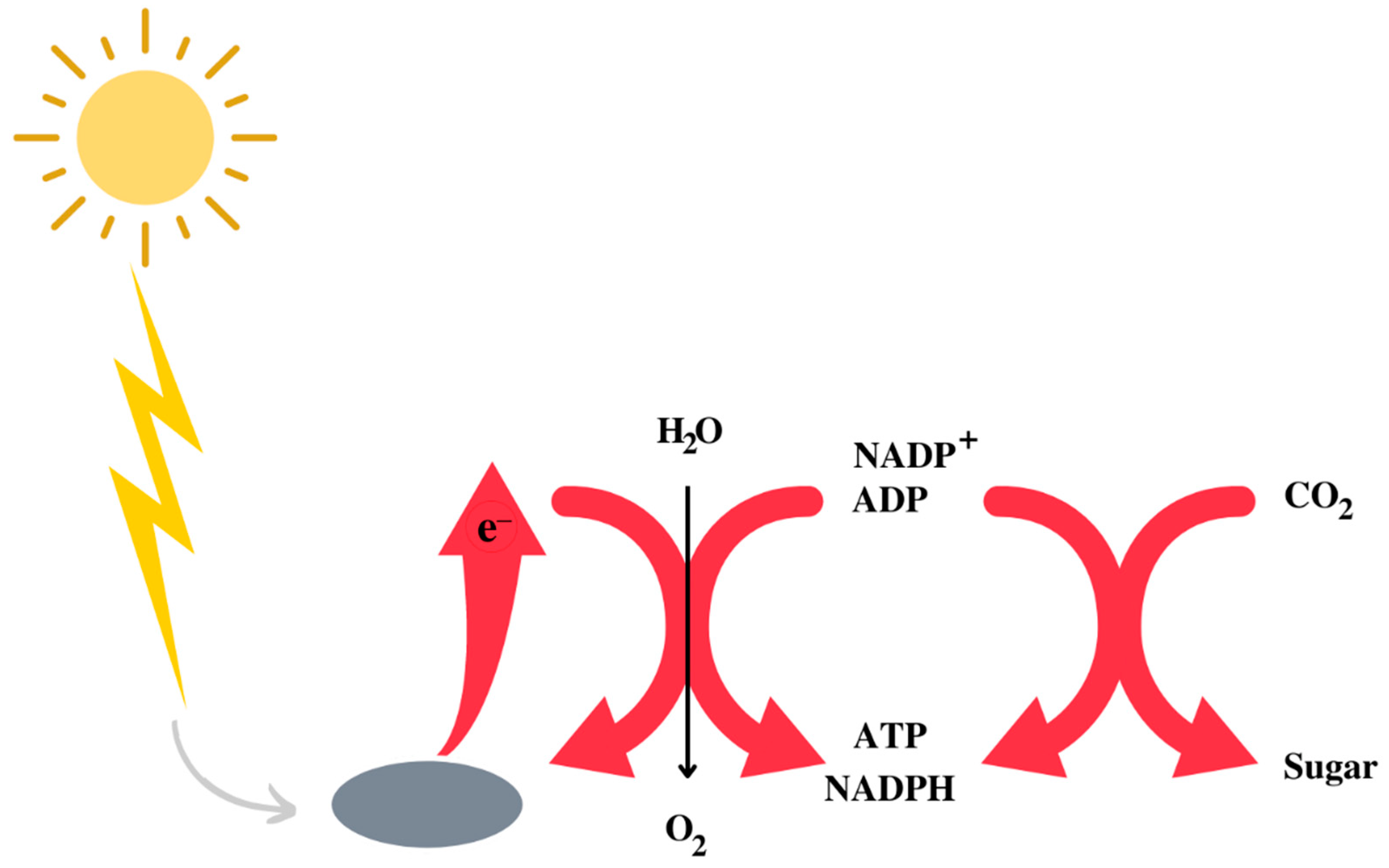 Oxygen 02 00027 g001