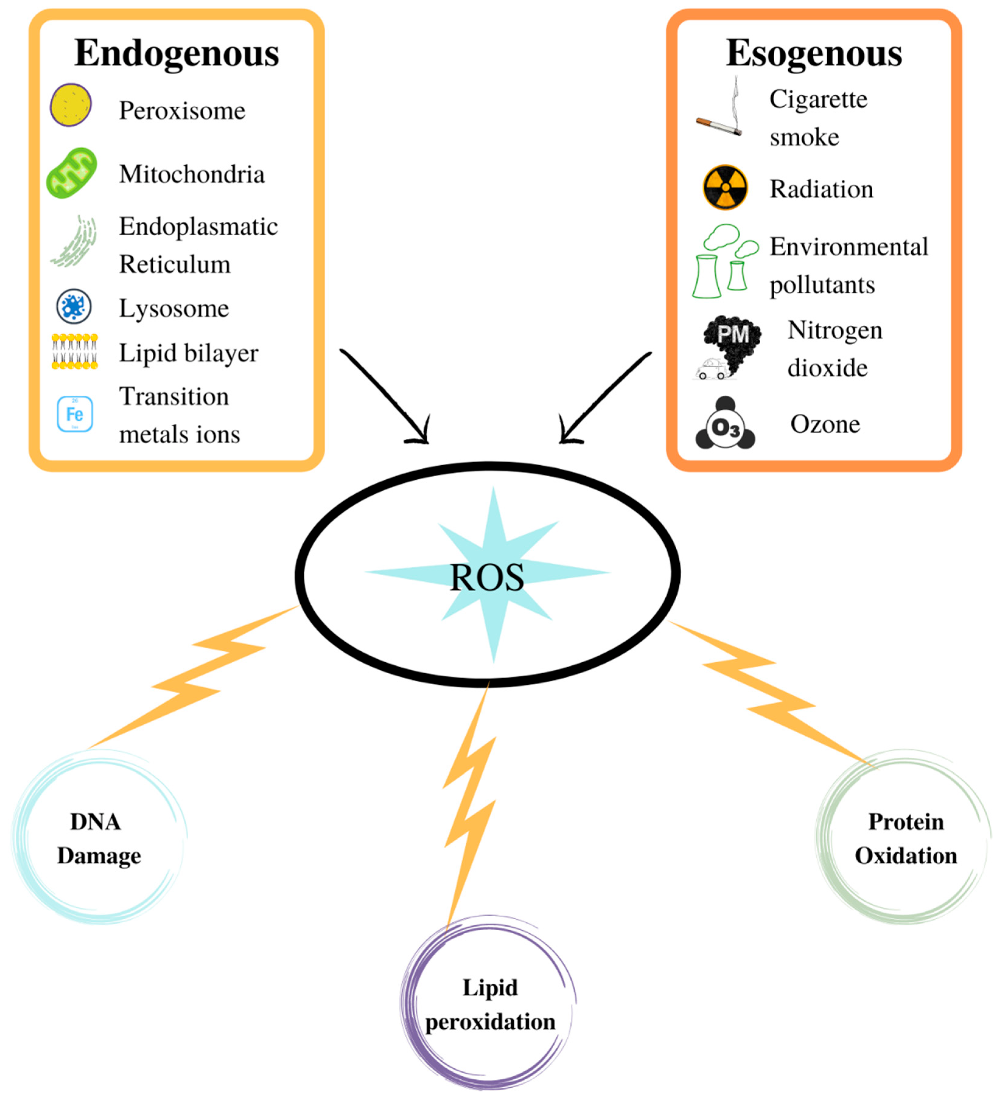 Oxygen 02 00027 g002