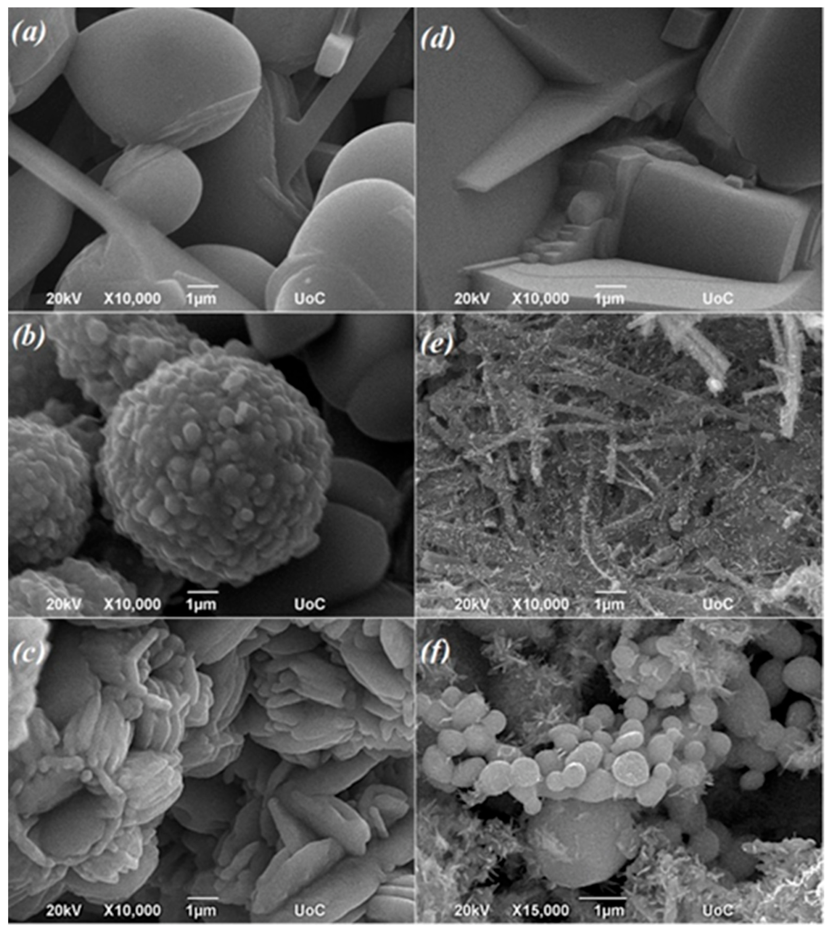 Oxygen 02 00028 g002