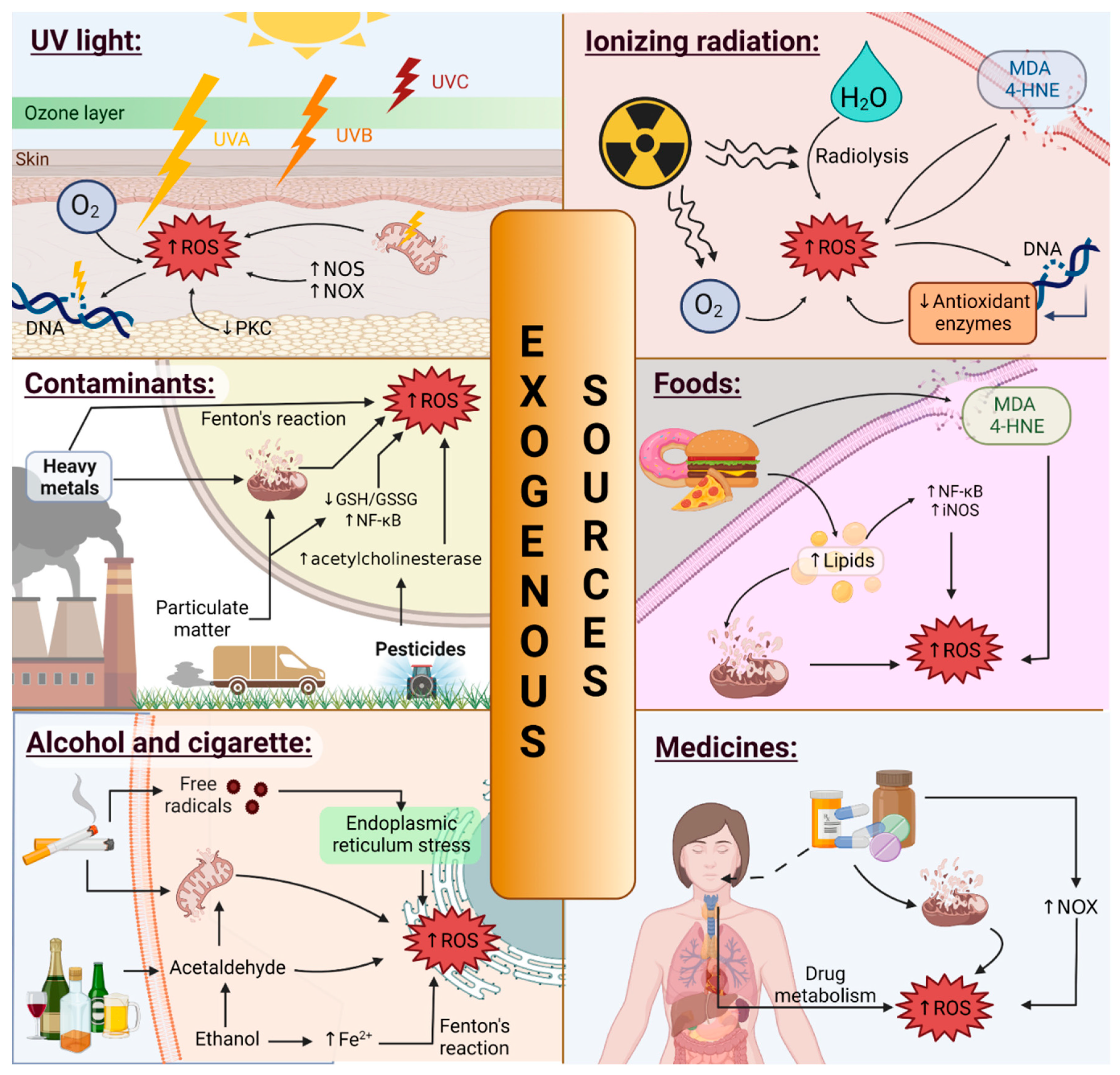 Oxygen 02 00030 g002