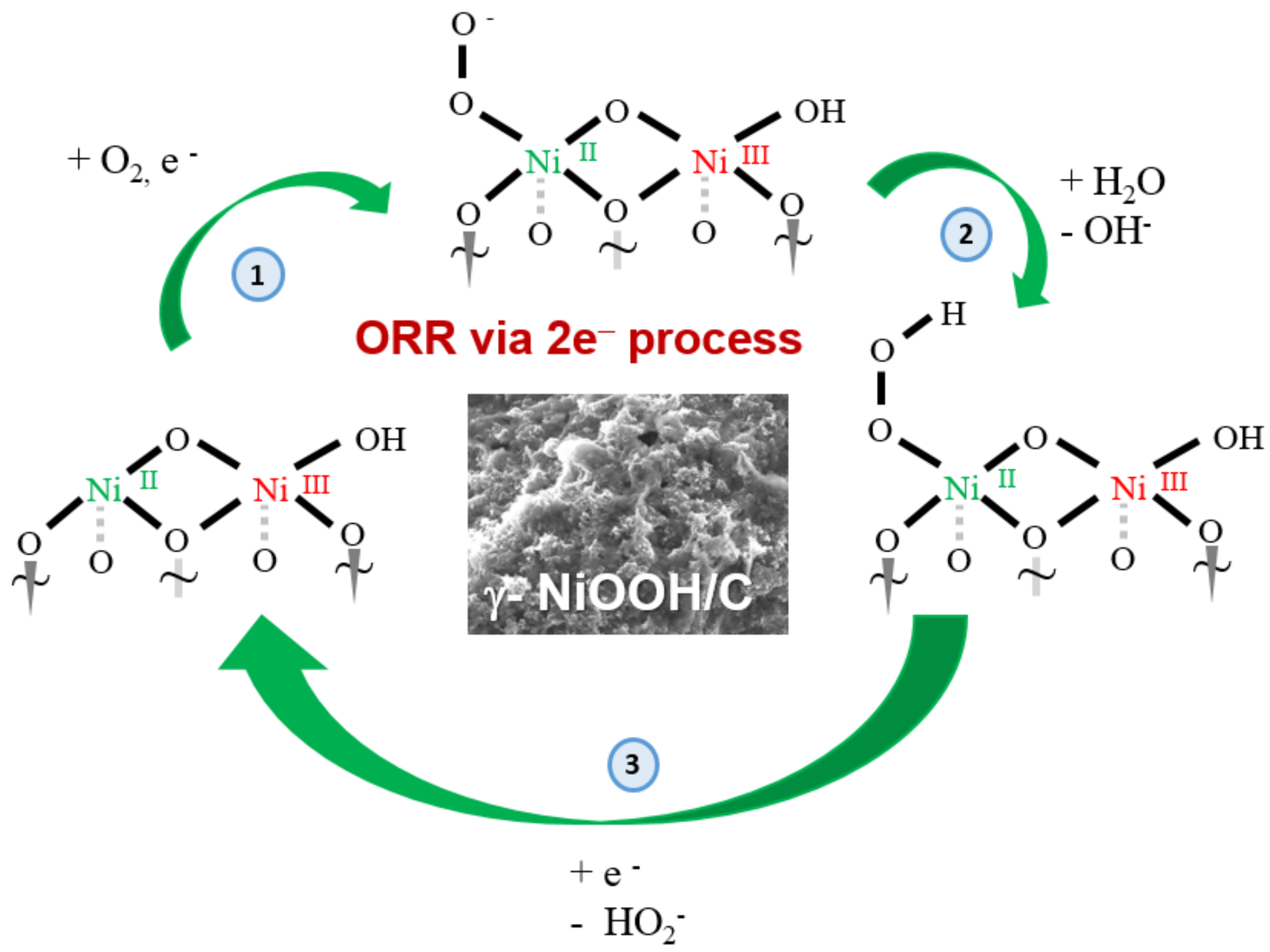 Oxygen 02 00031 sch001