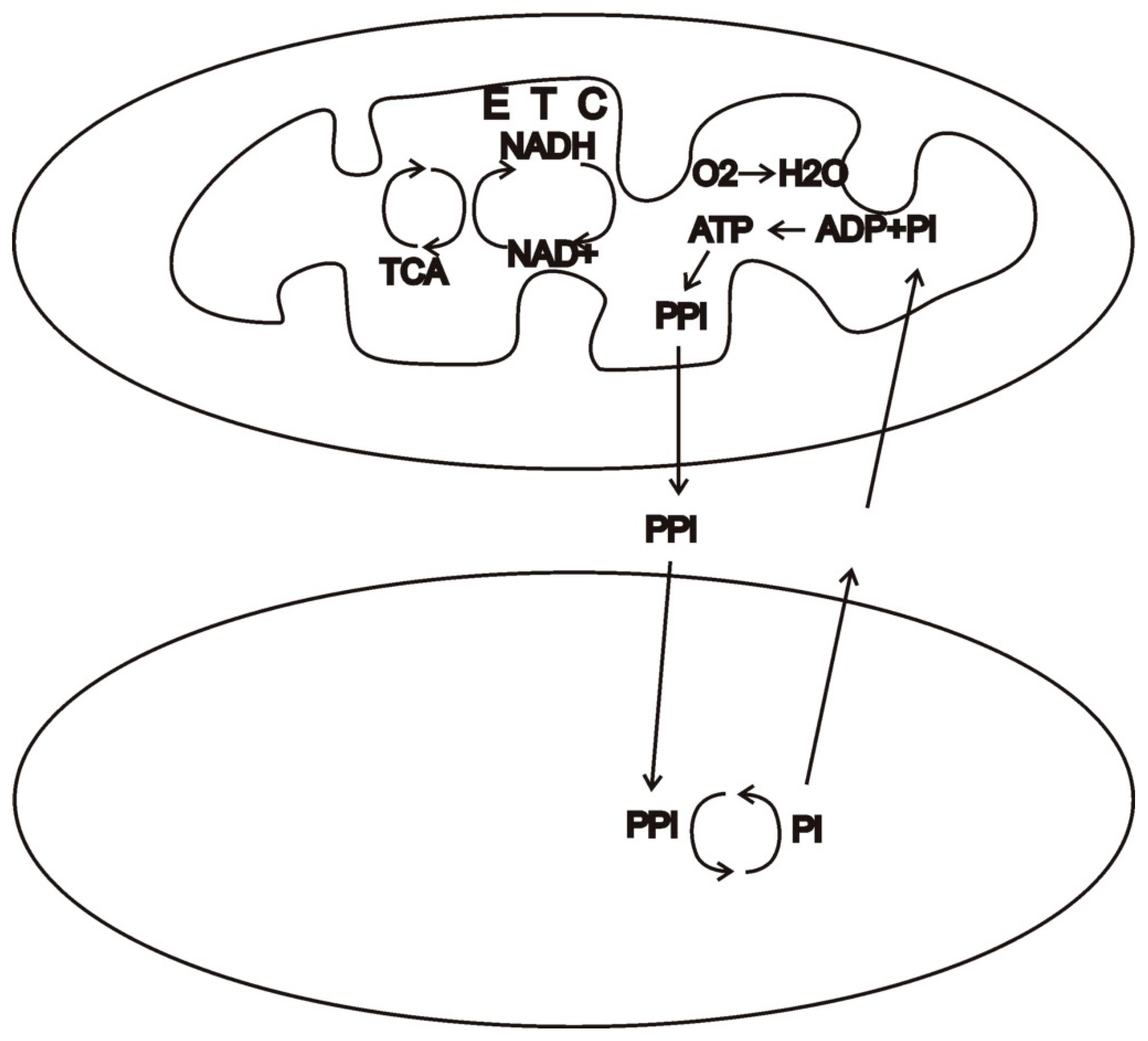 Oxygen 02 00032 g001